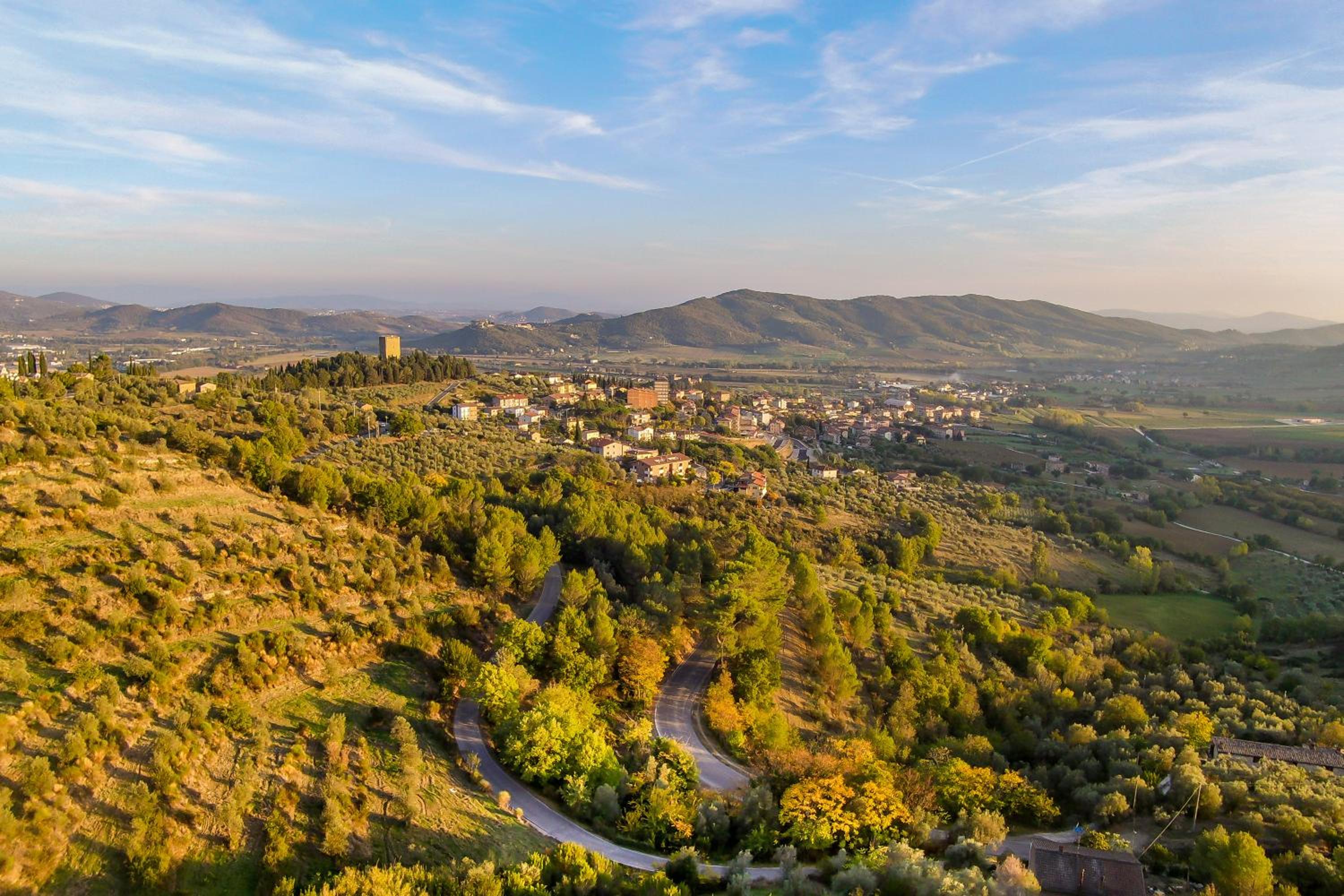 La Cotogna