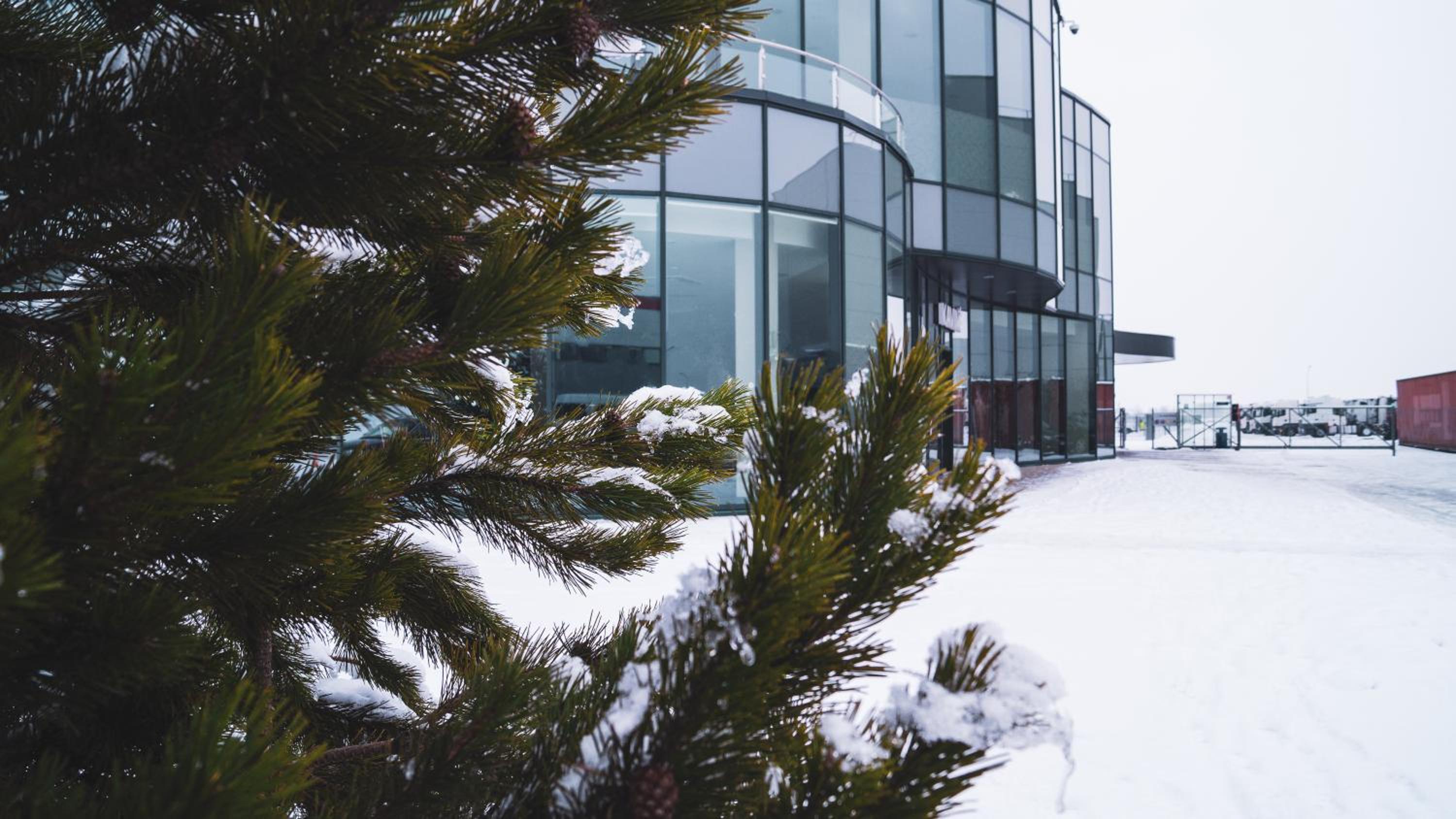 Photo 10