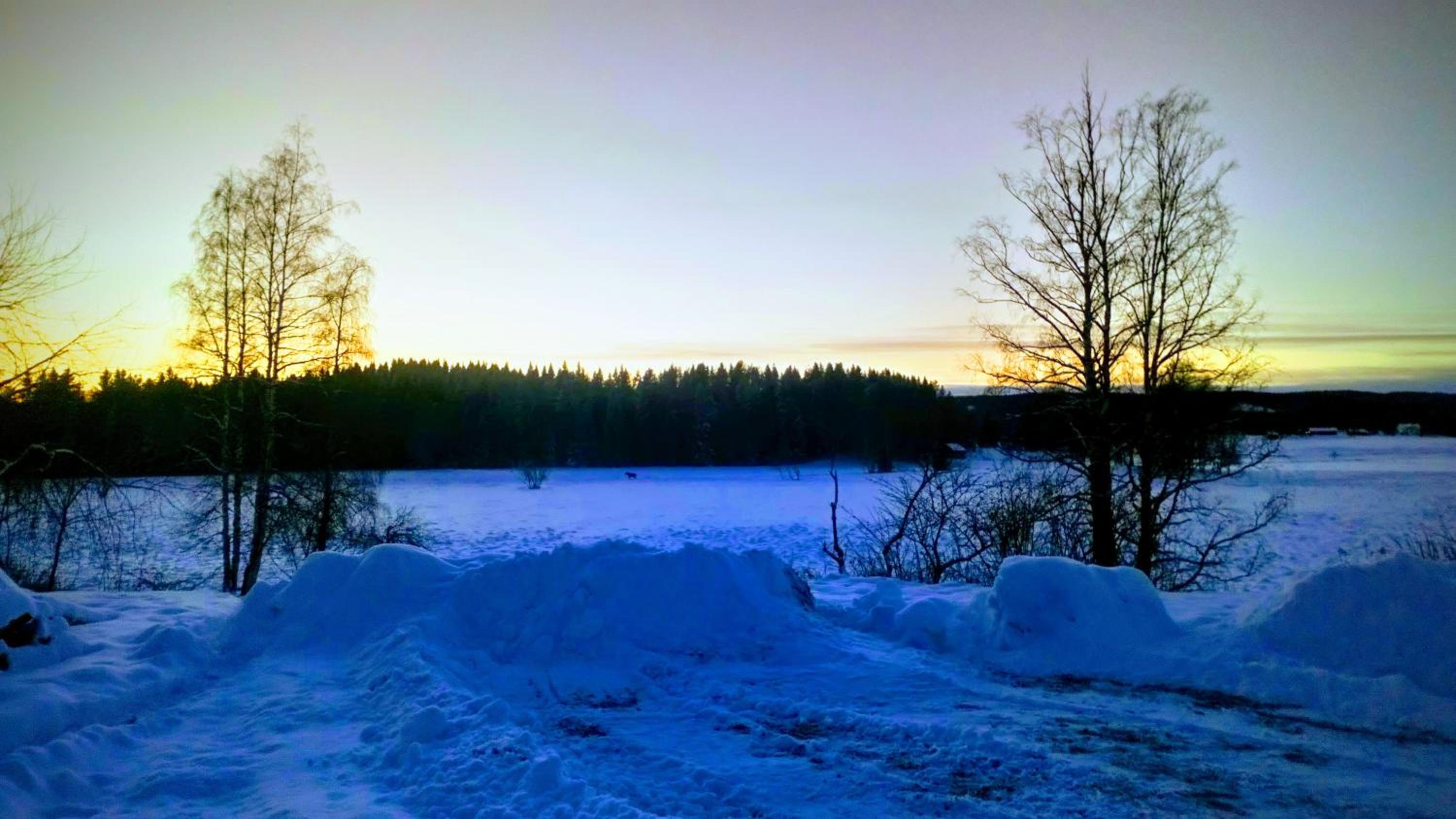 Photo 50