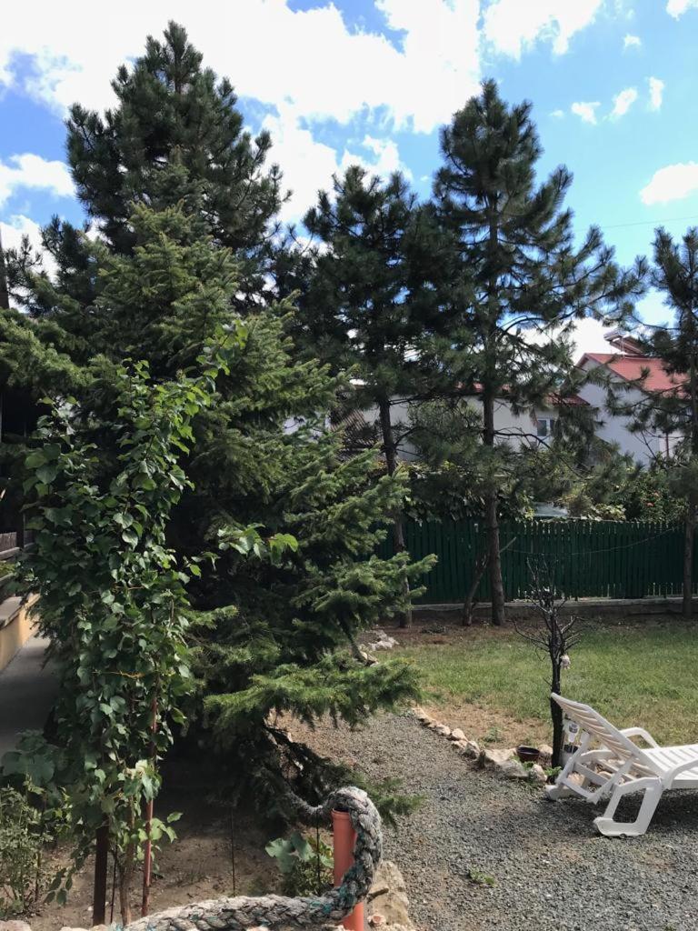 Green Villa Accommodation view 4