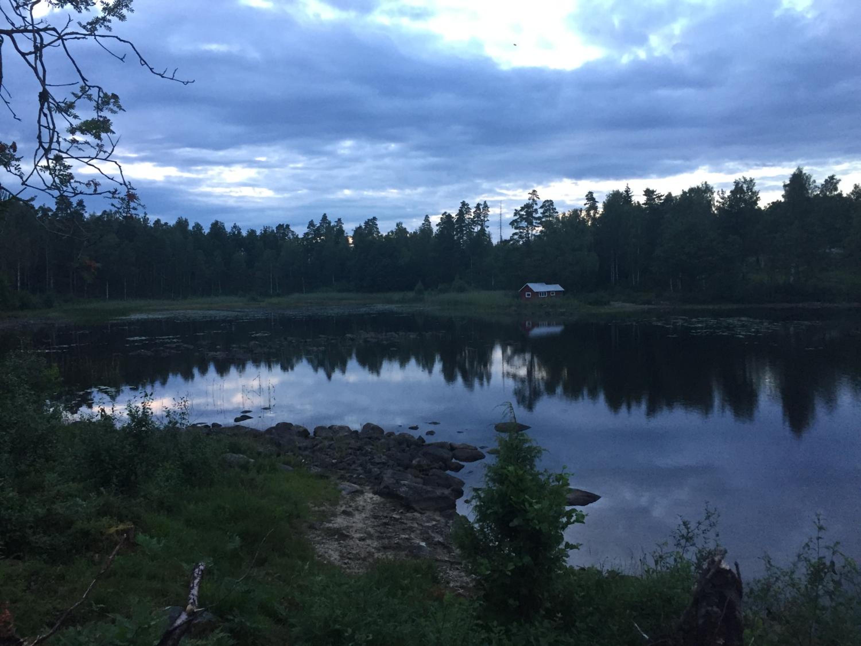 Photo 19
