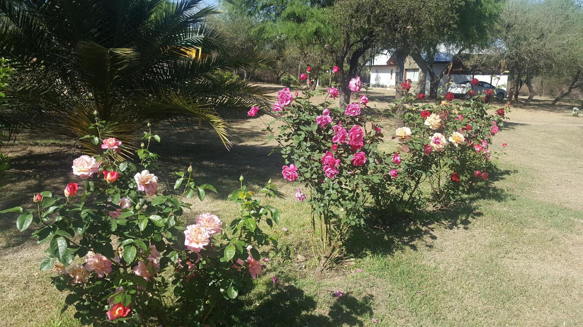 White Field Houses and Spa