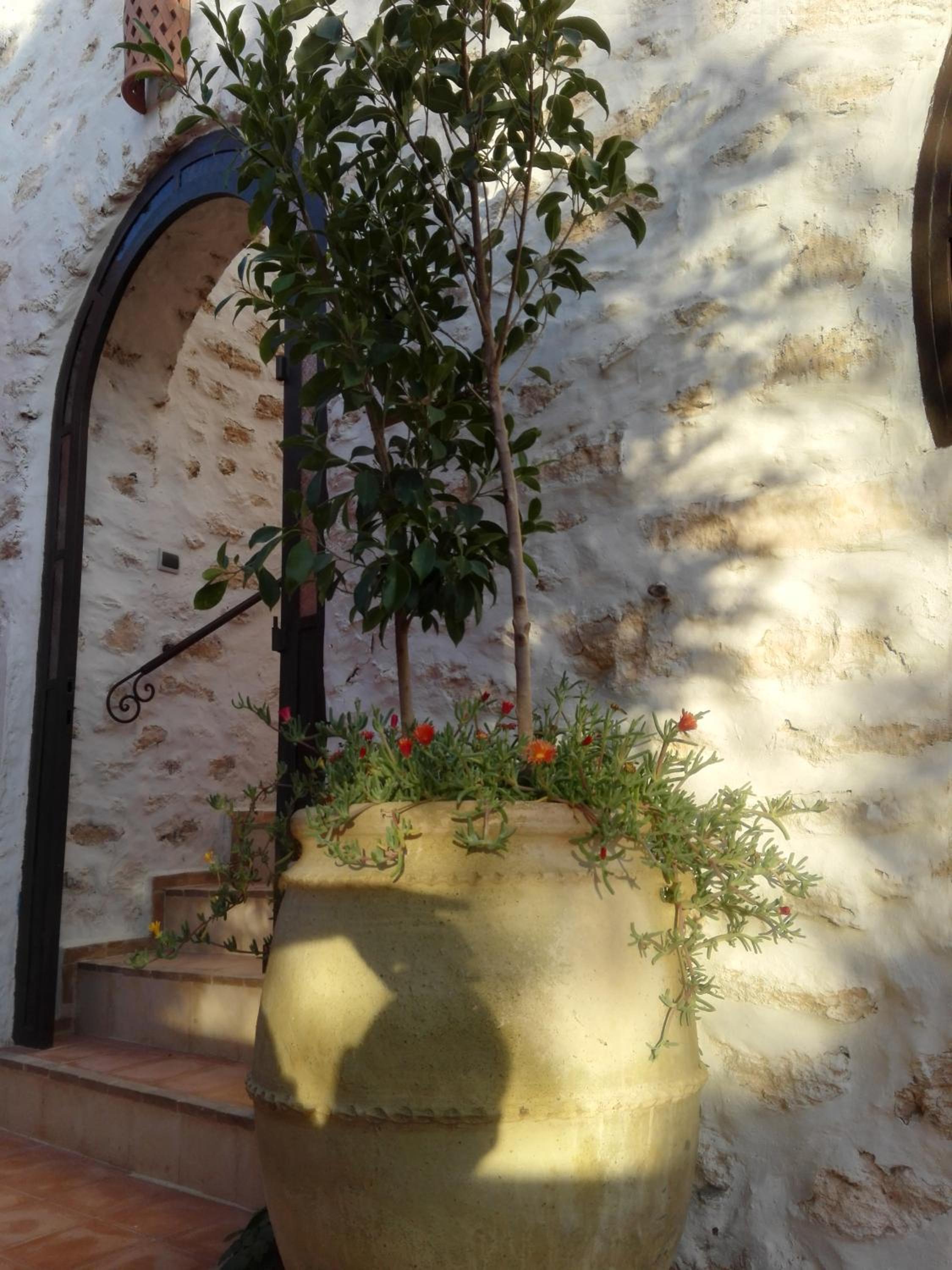 Riad Sanam - Adults only
