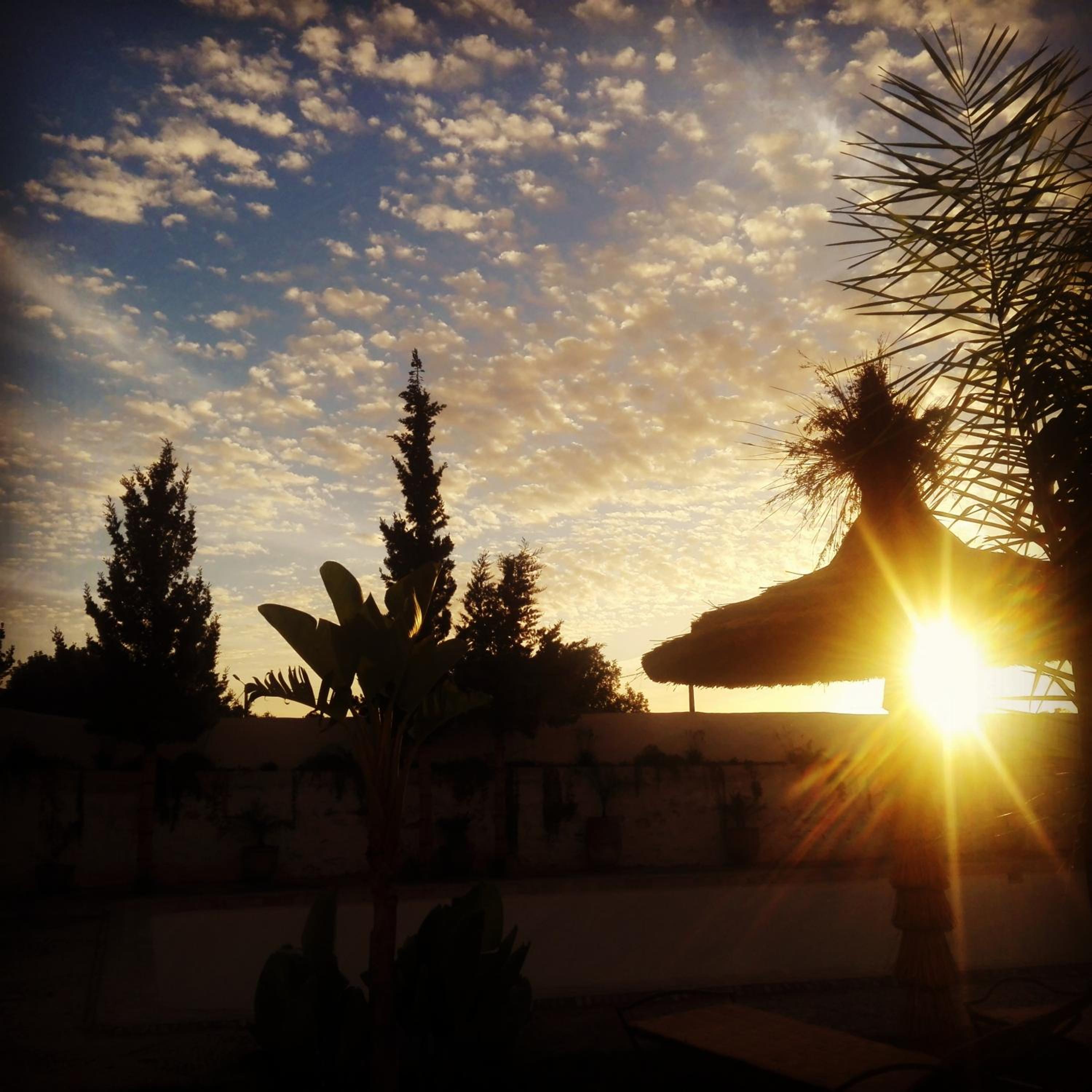 Riad Sanam - Adults only
