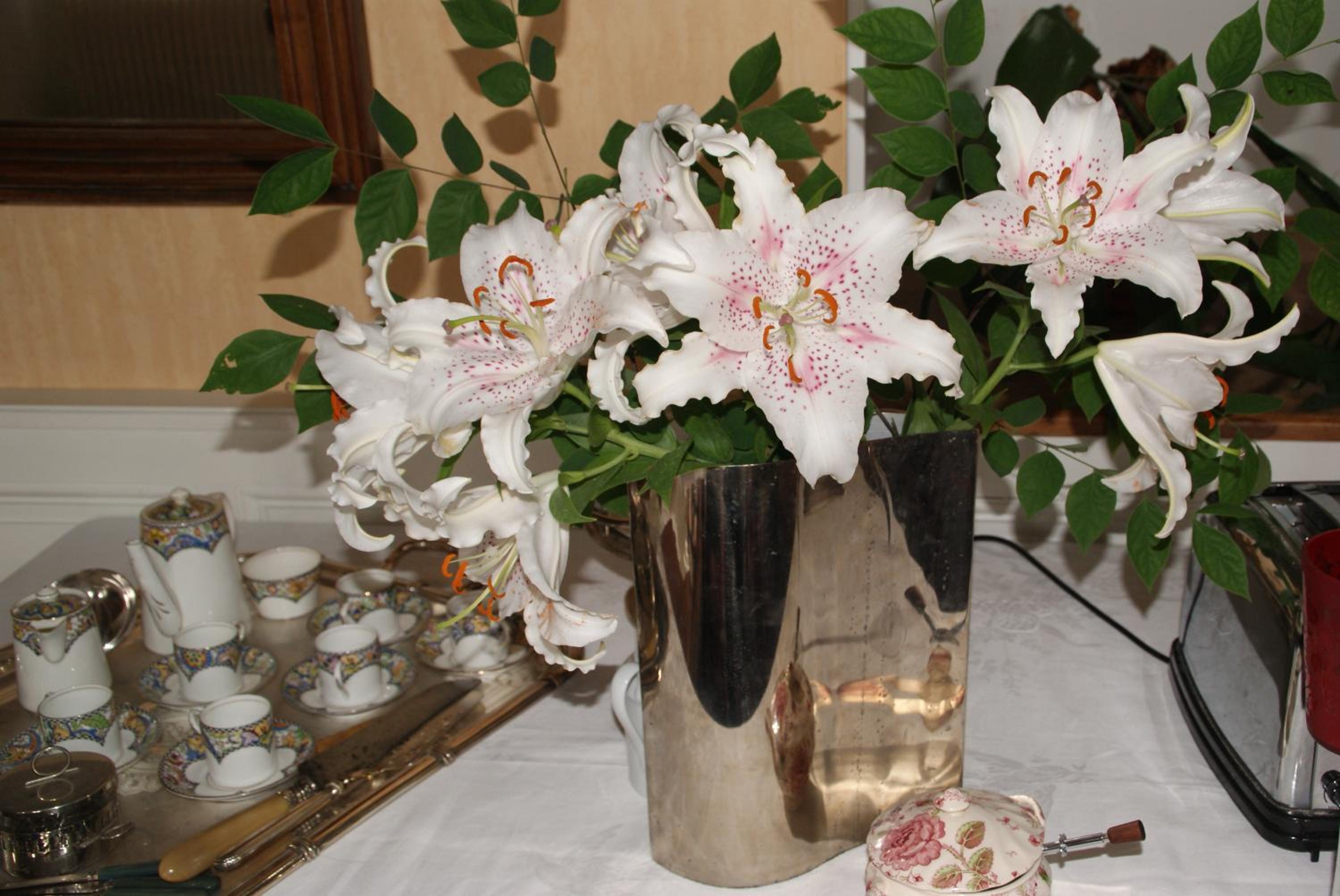 Photo 40