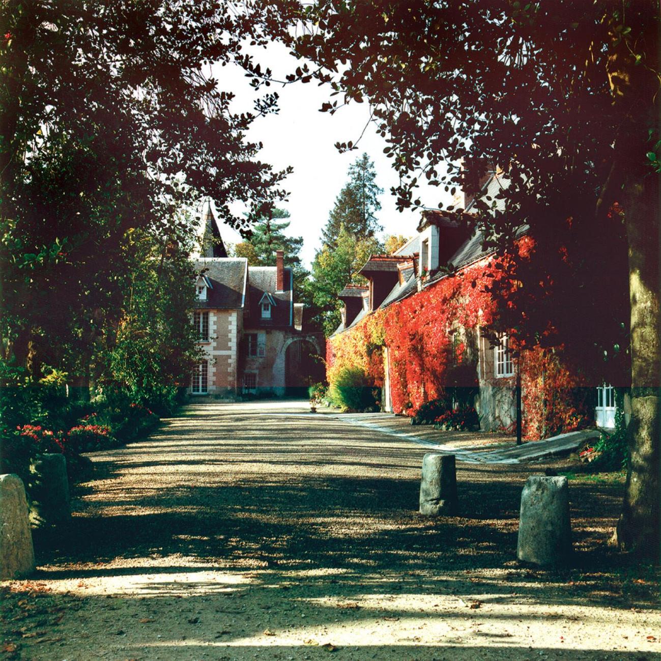 Photo 42