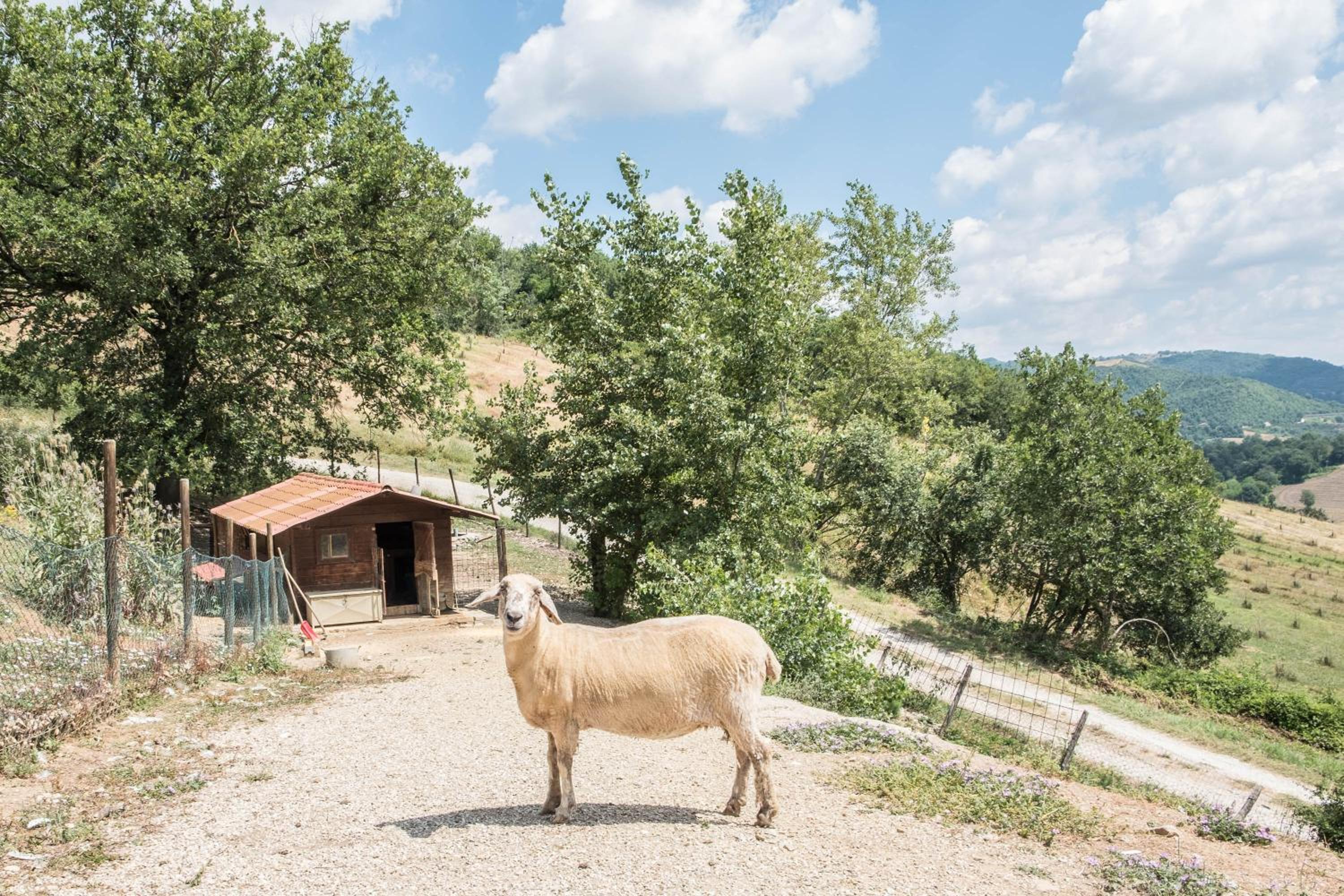 Agriturismo Goccia di Luna