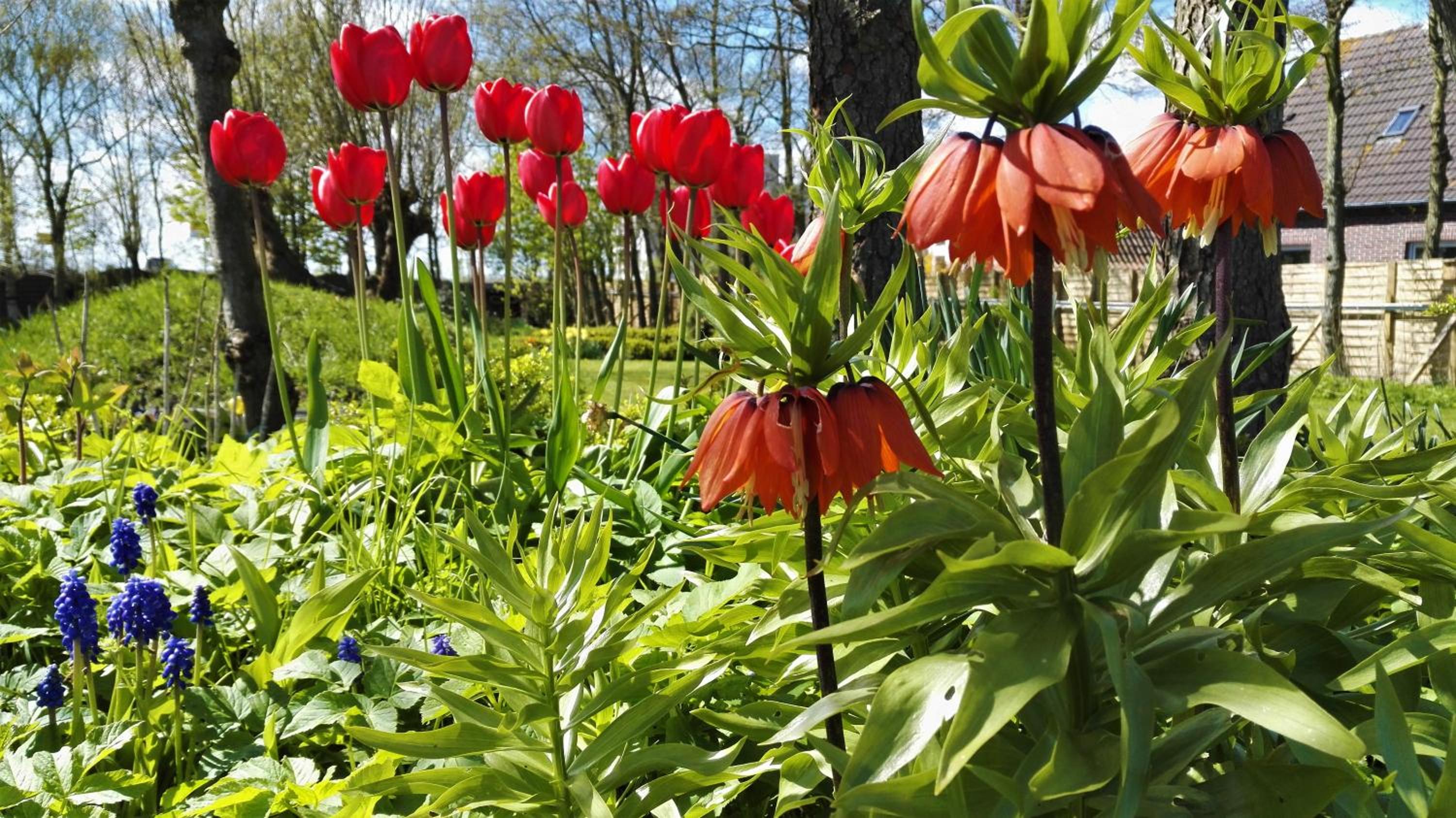 other
