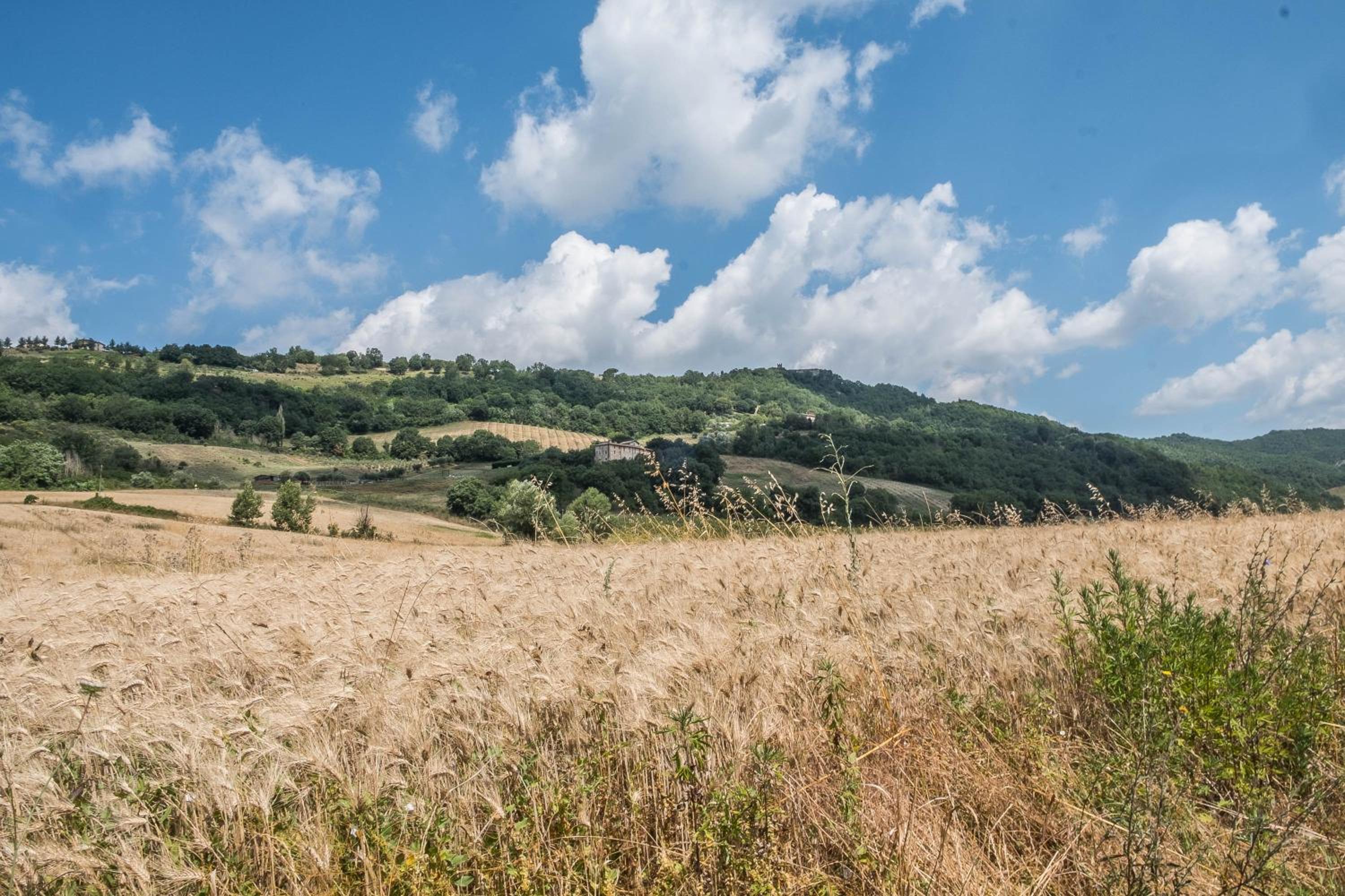 Agriturismo Goccia di Luna