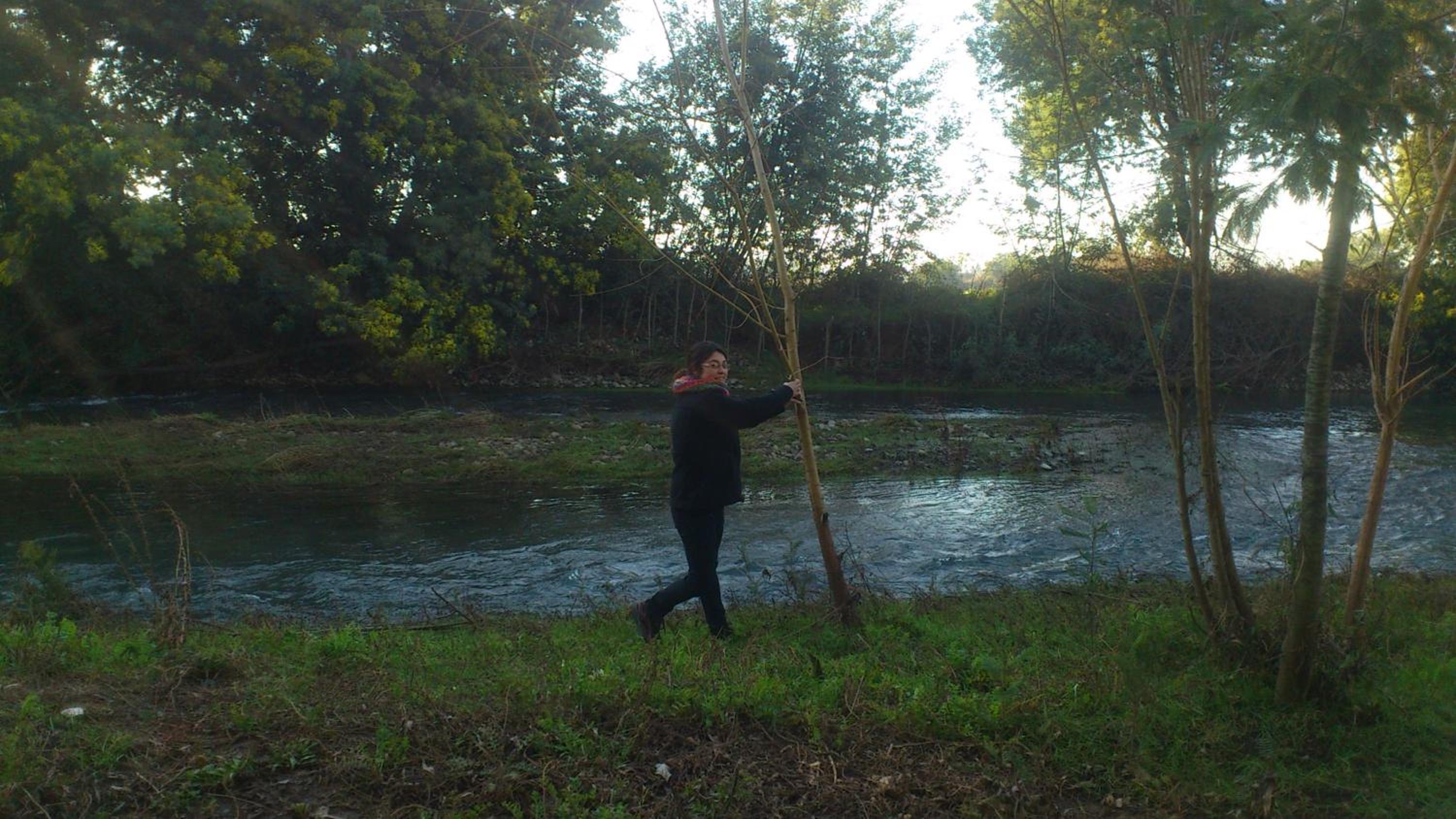 Photo 43
