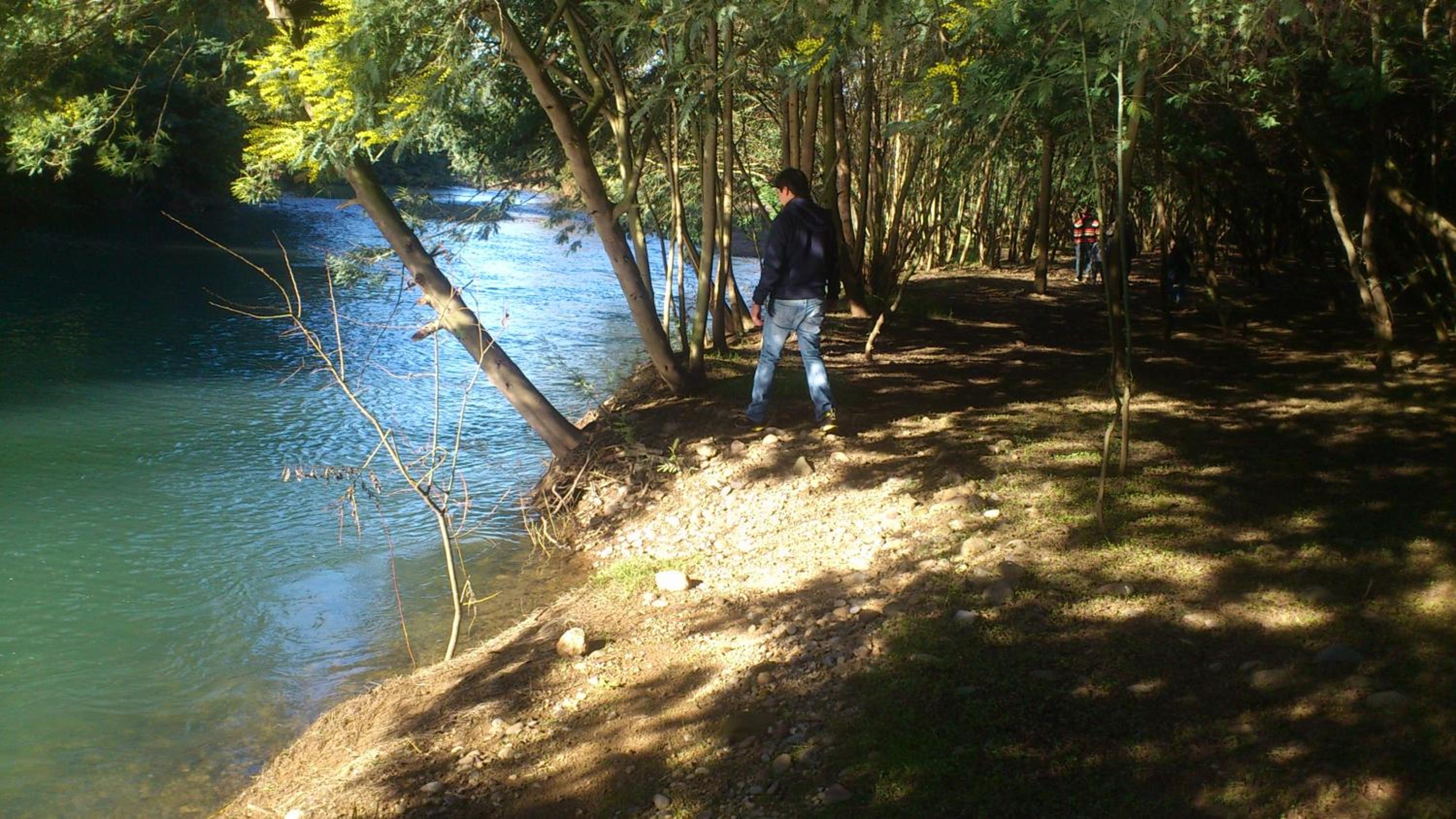 Photo 42