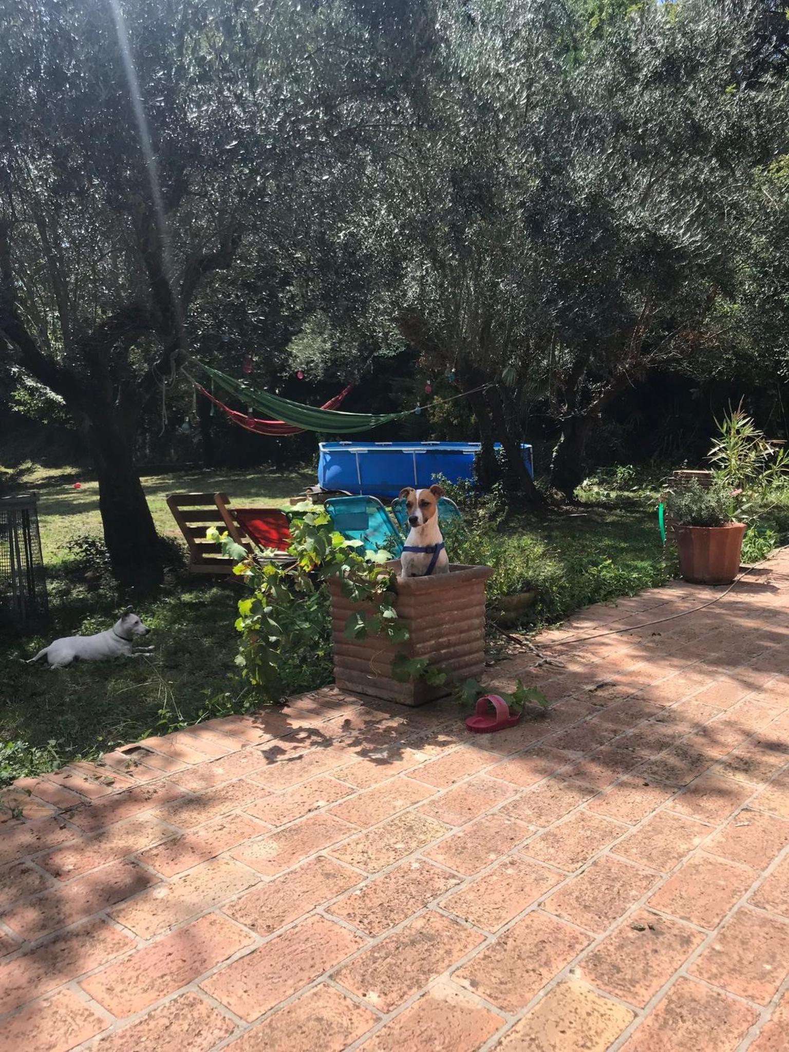 Photo 18