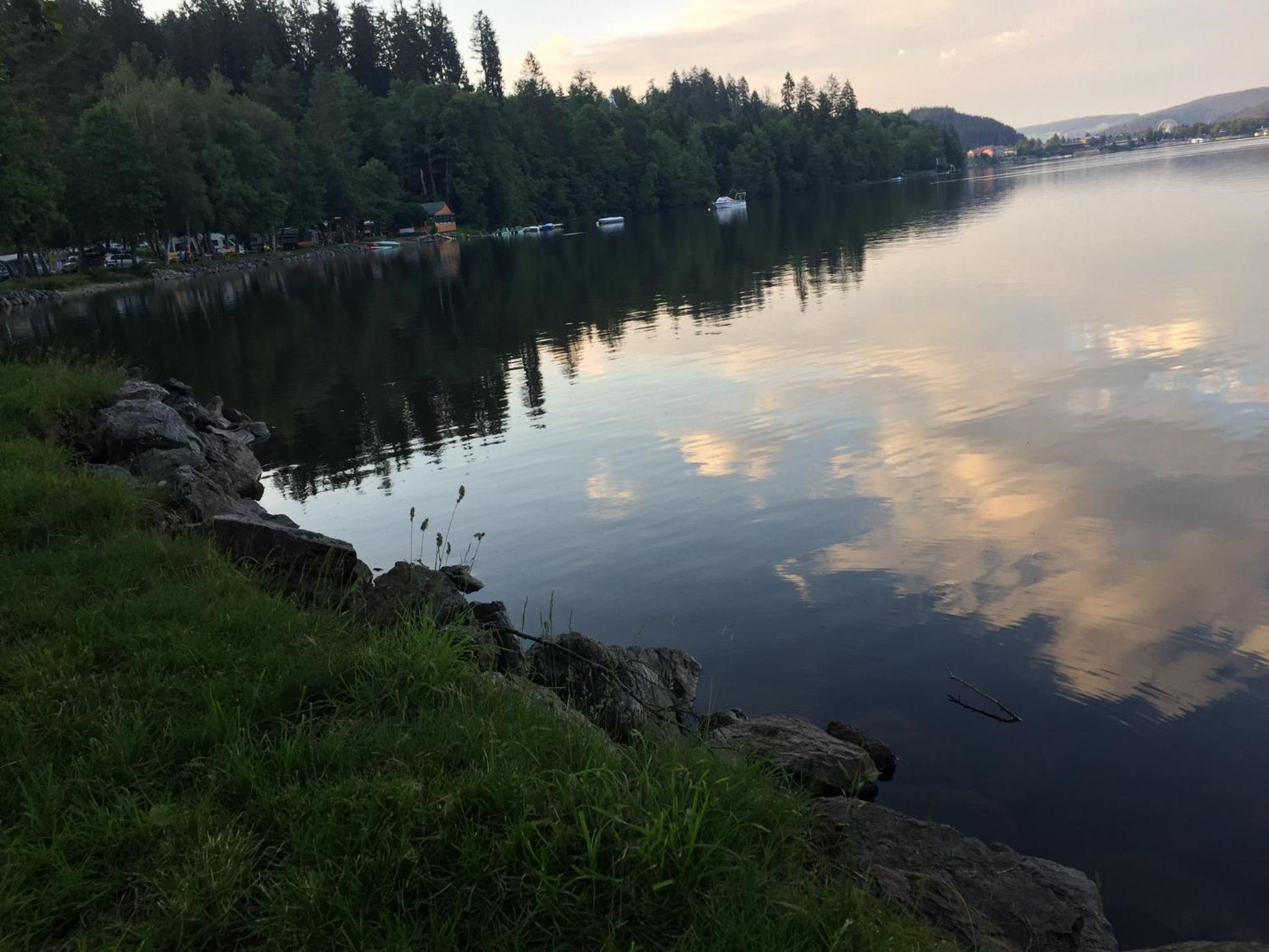 Photo 47