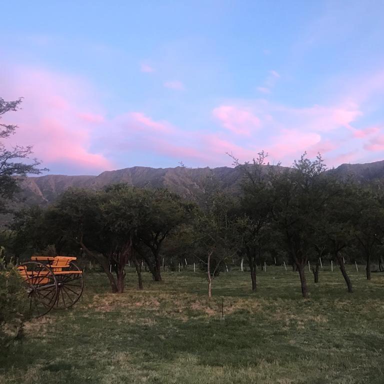 Finca Punta Serrana