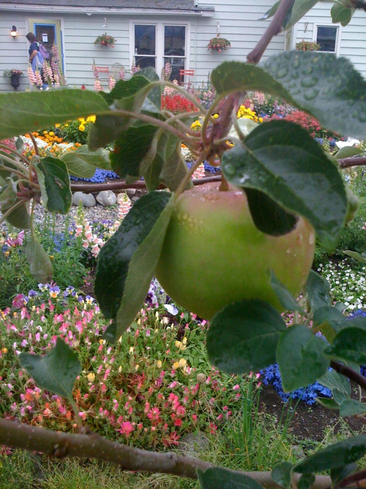 Photo 22