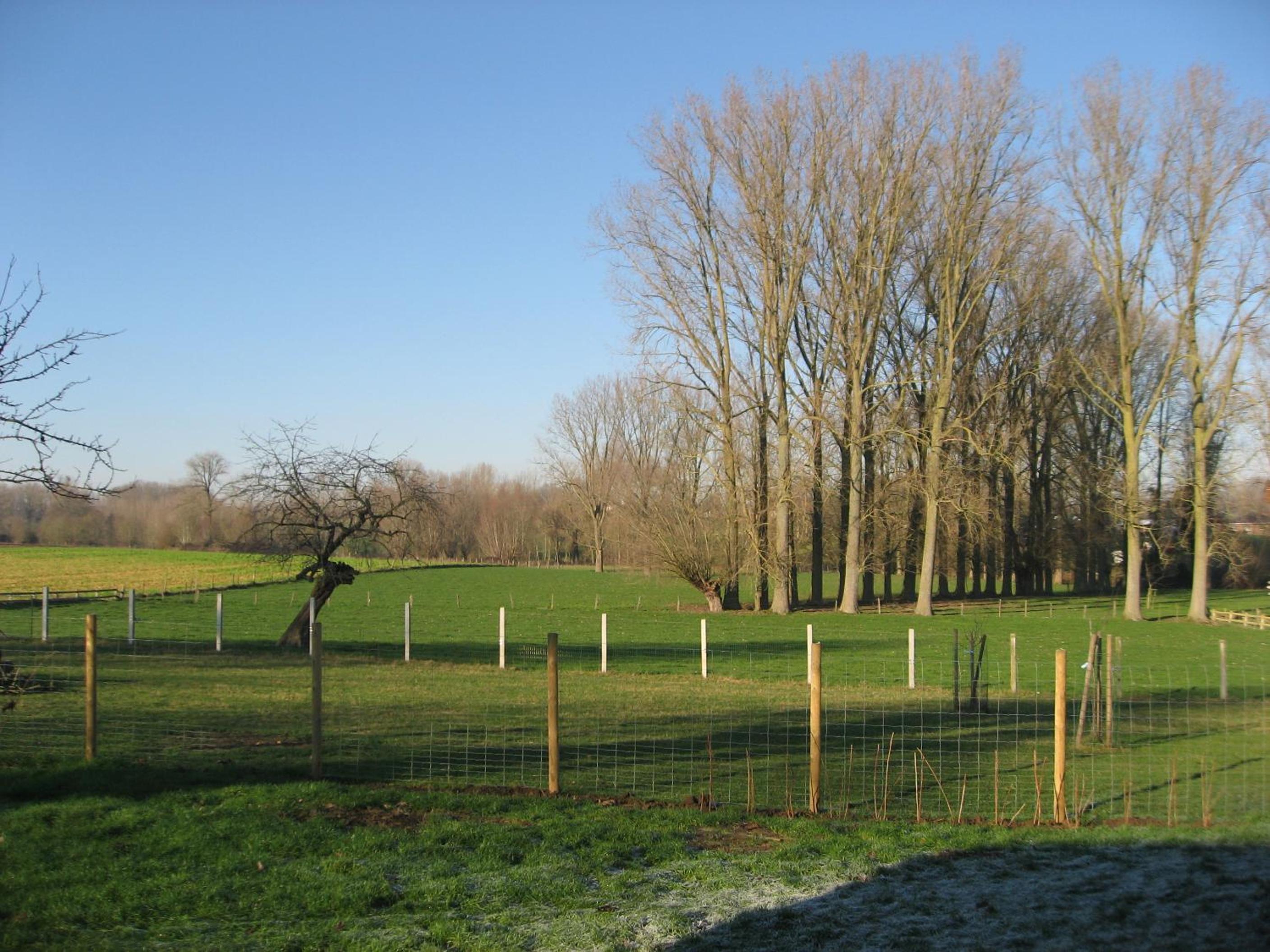 Vakantiewoning Tilia