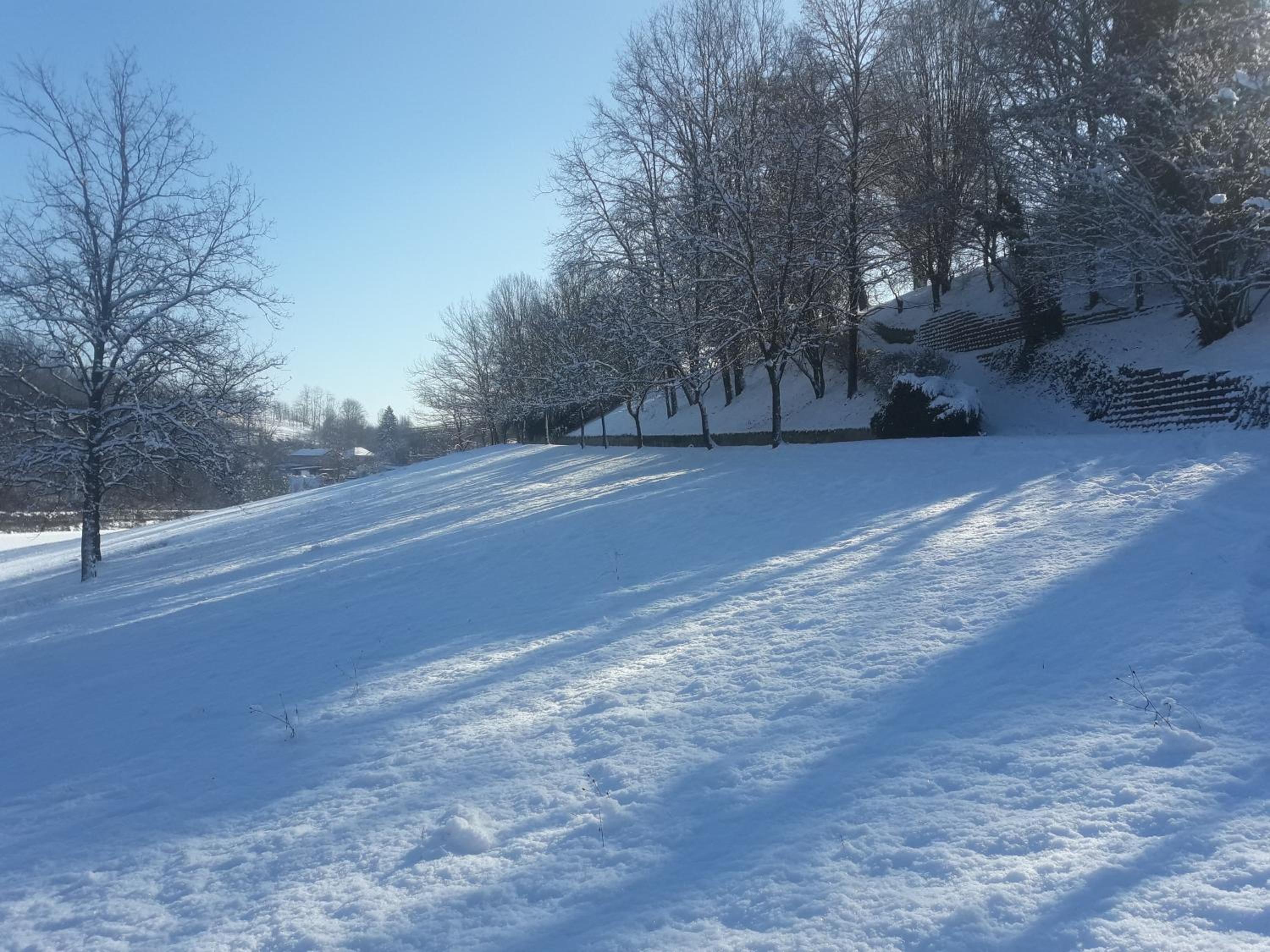 Photo 42