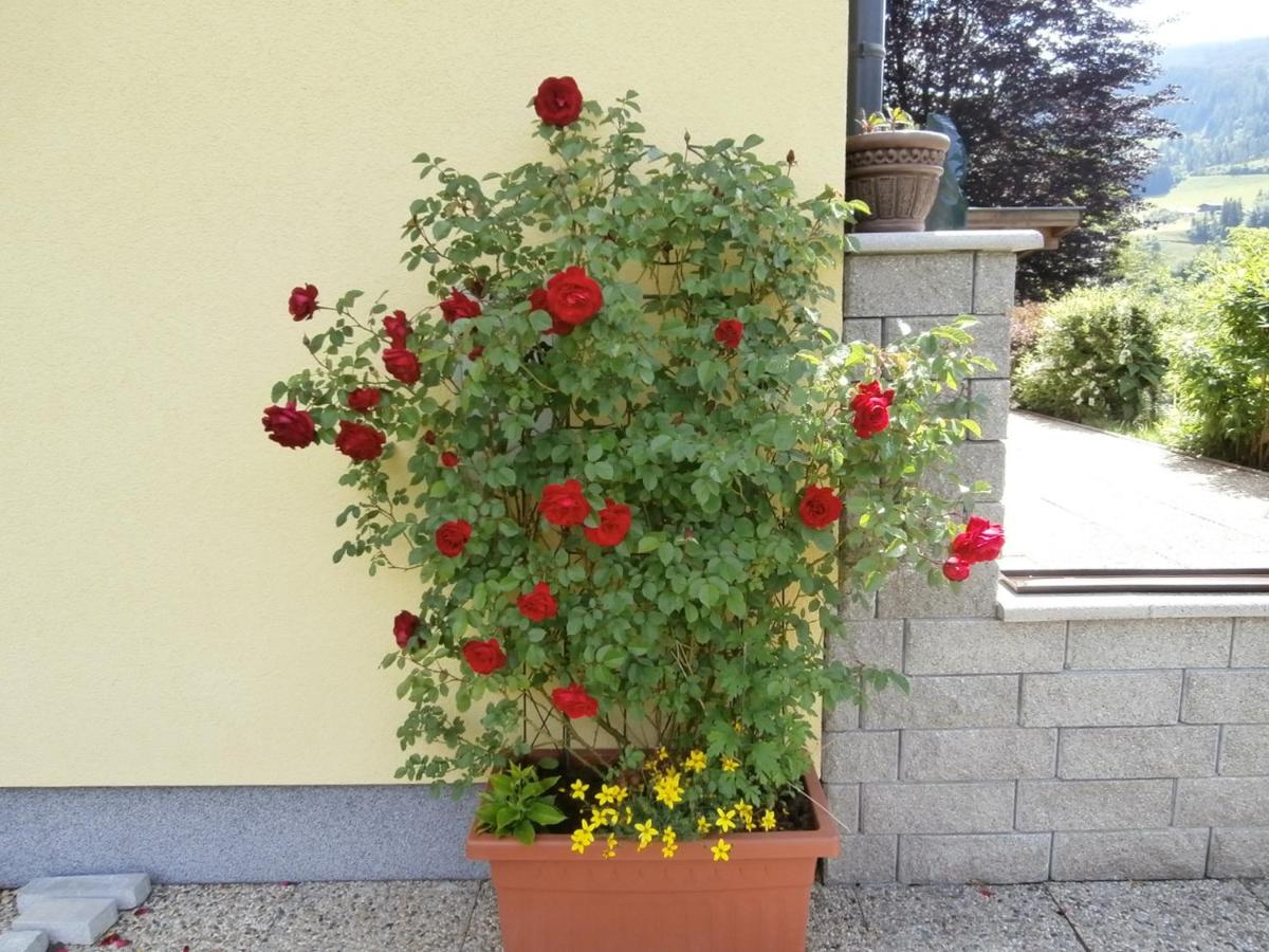 Haus Wohl