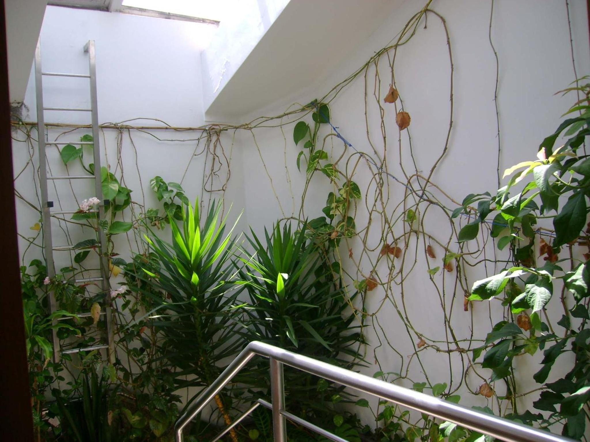 Residencial Moeda