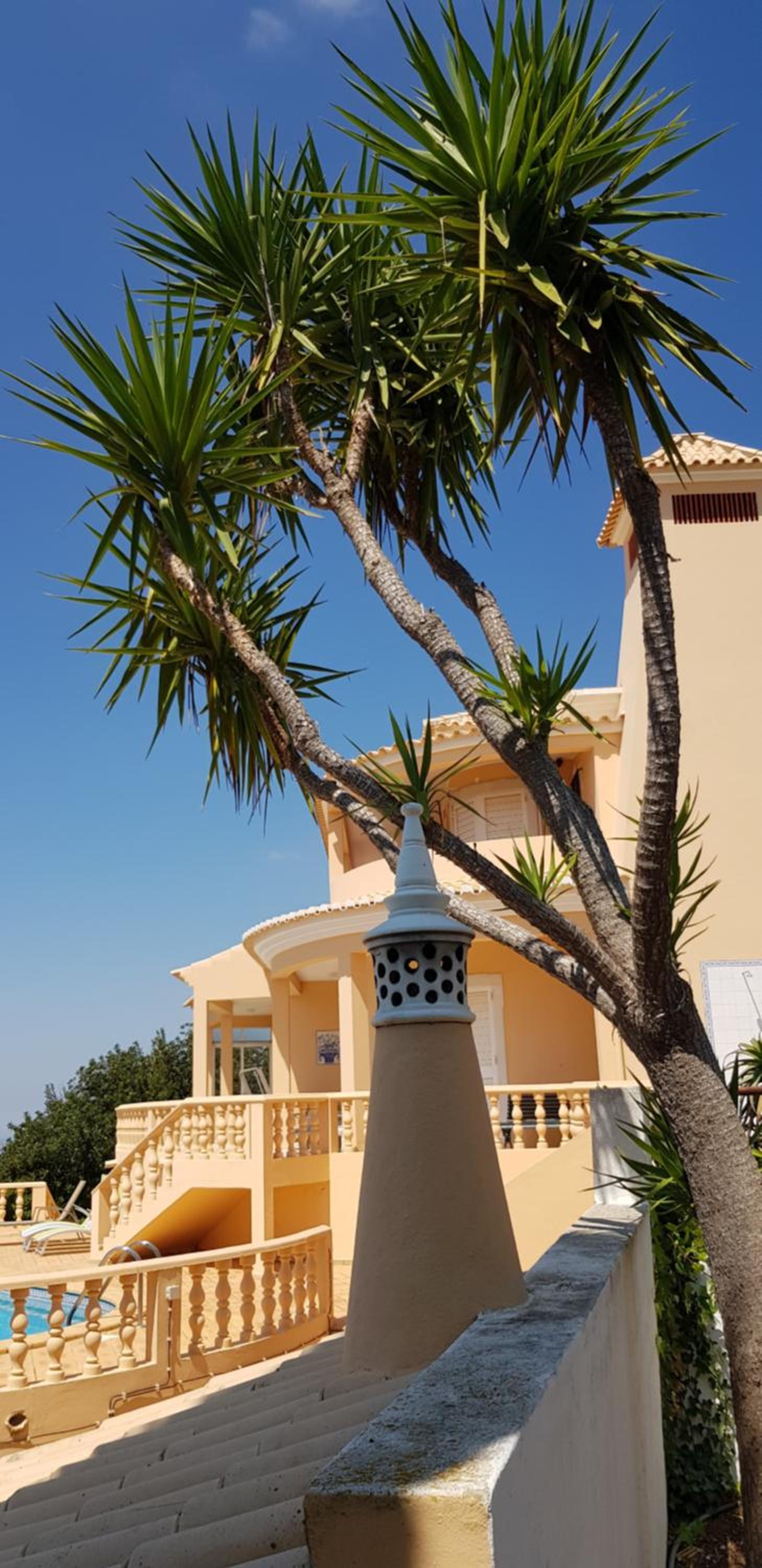 Villa Quinta da Violeta