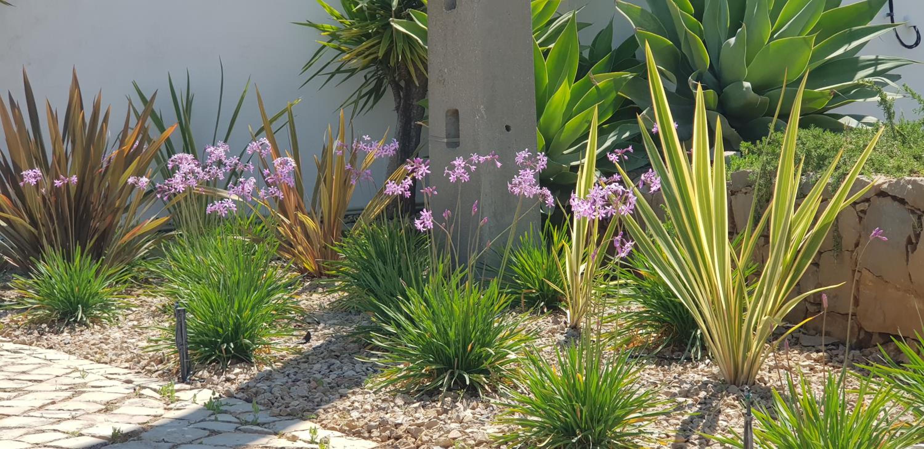 Villa Quinta da Violeta