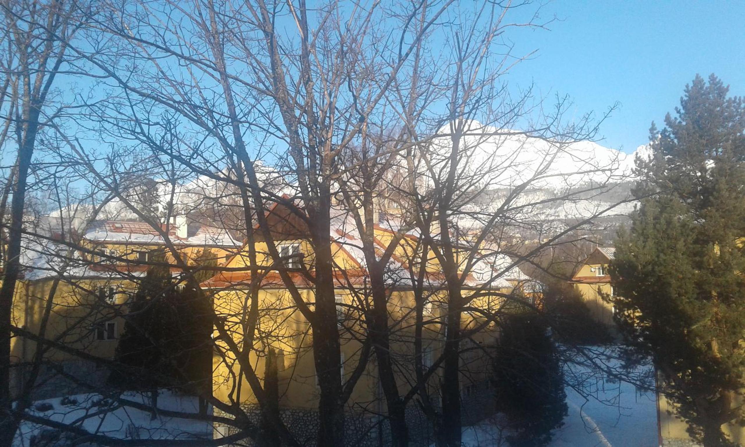 Photo 39
