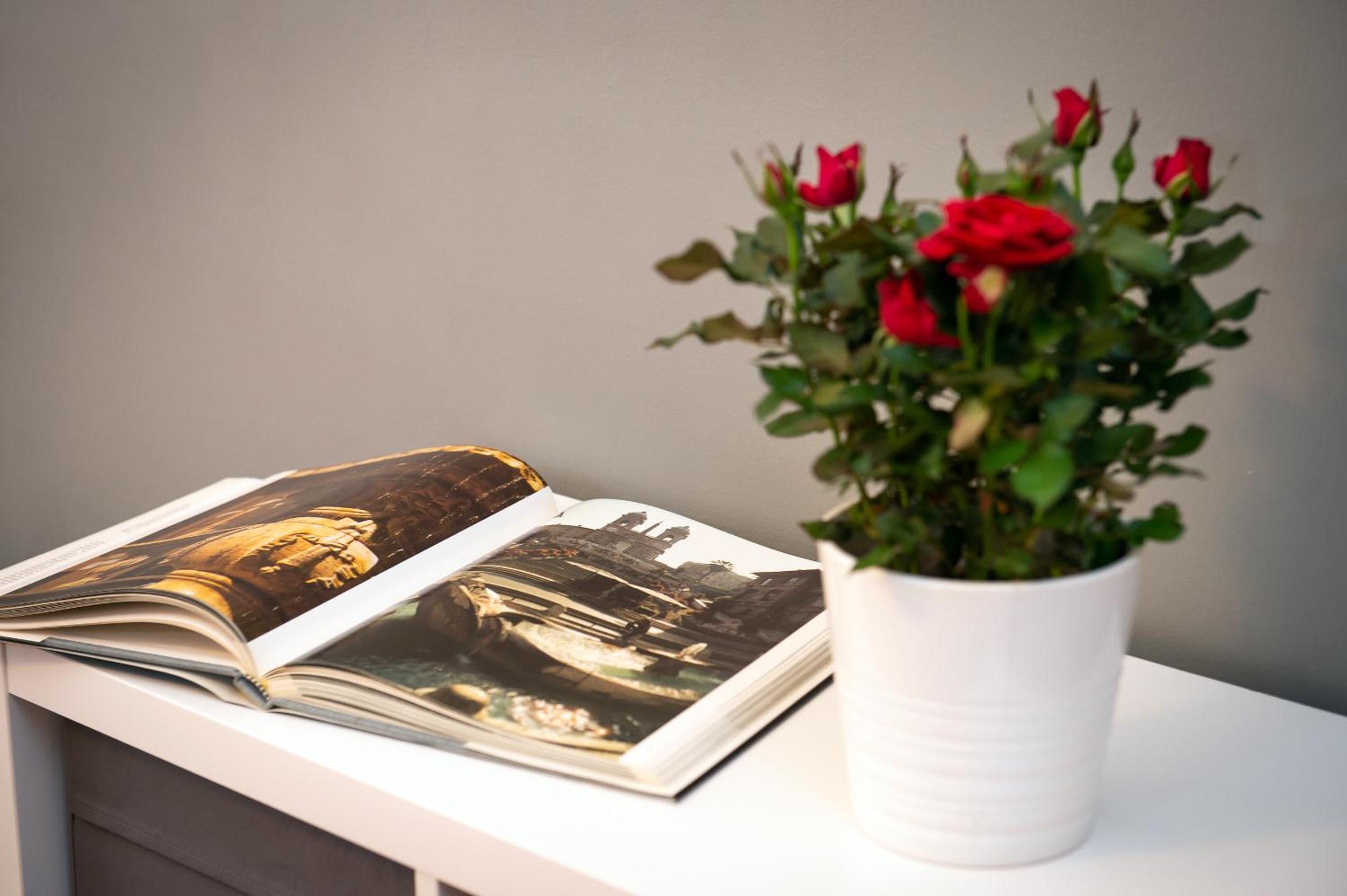 Flaminia 36 Luxury Home