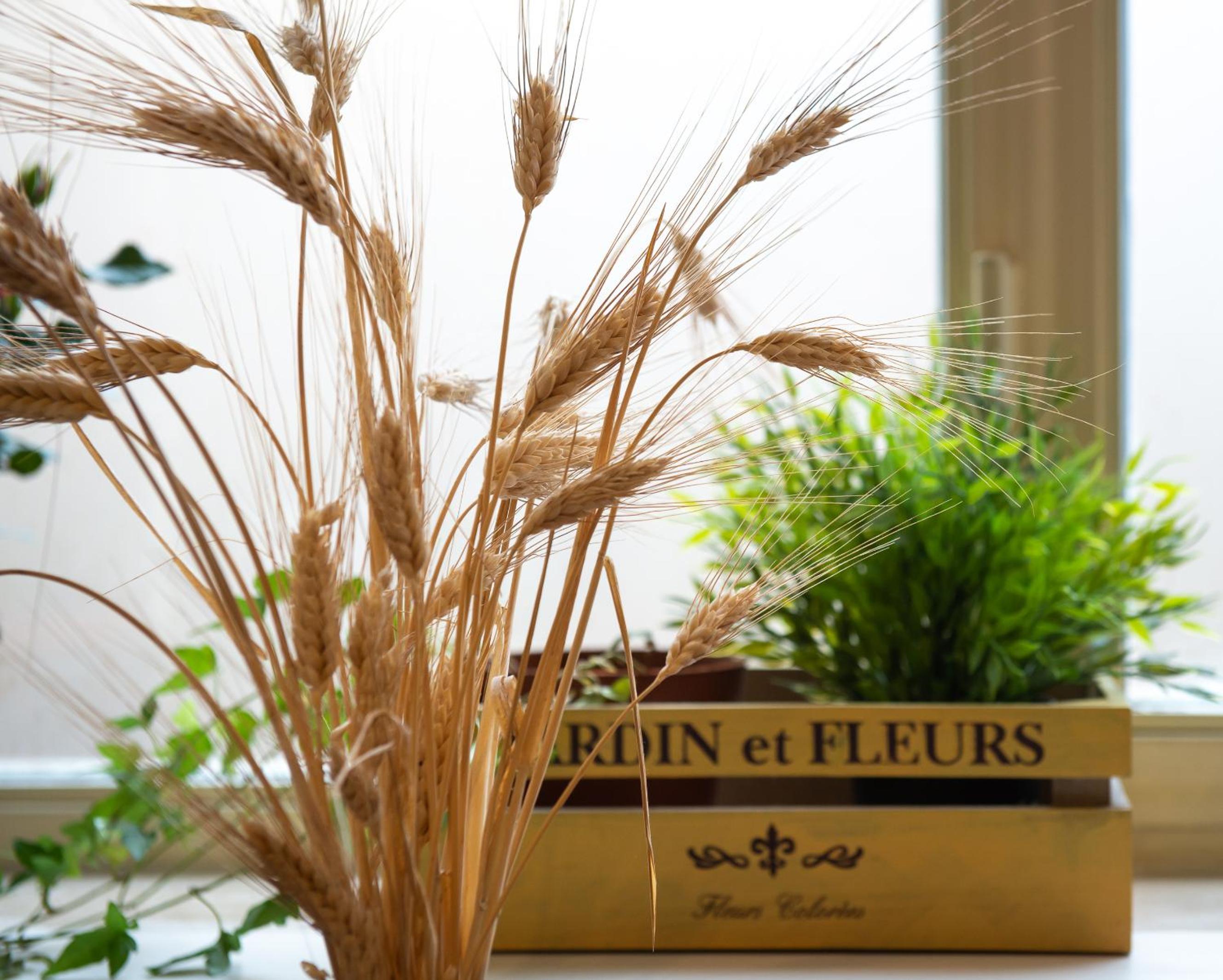 Flaminia 36 Luxury Home