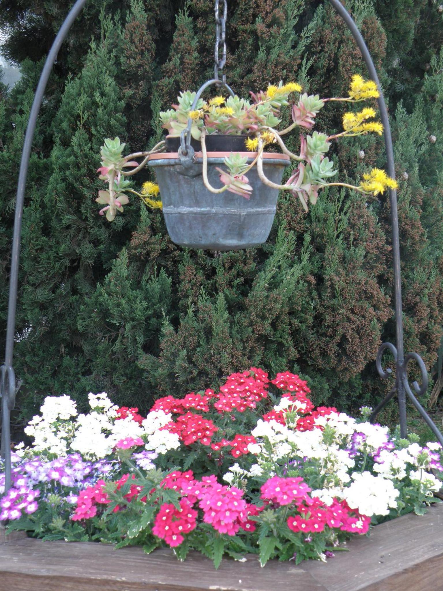 Photo 34