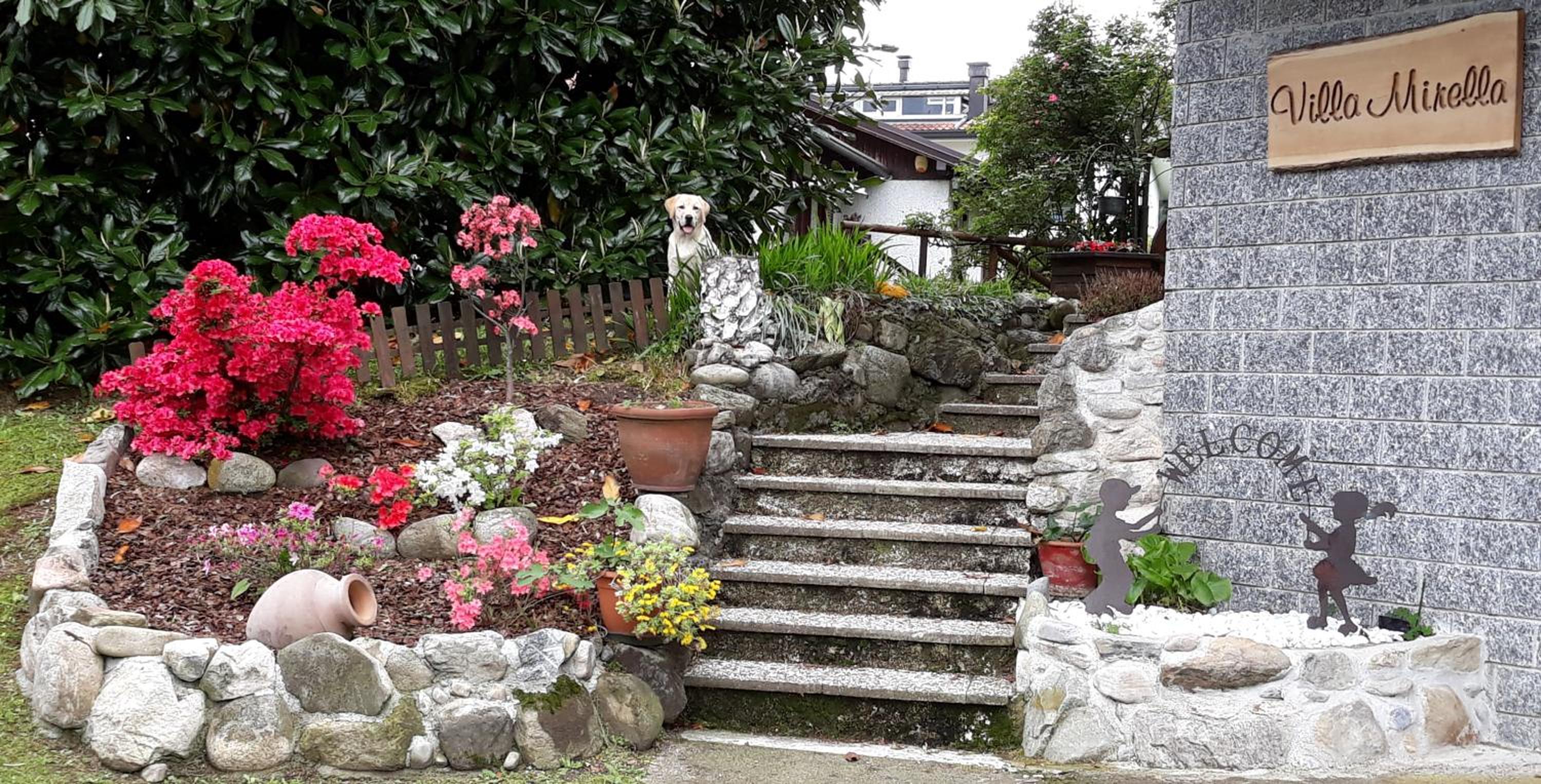 Photo 46