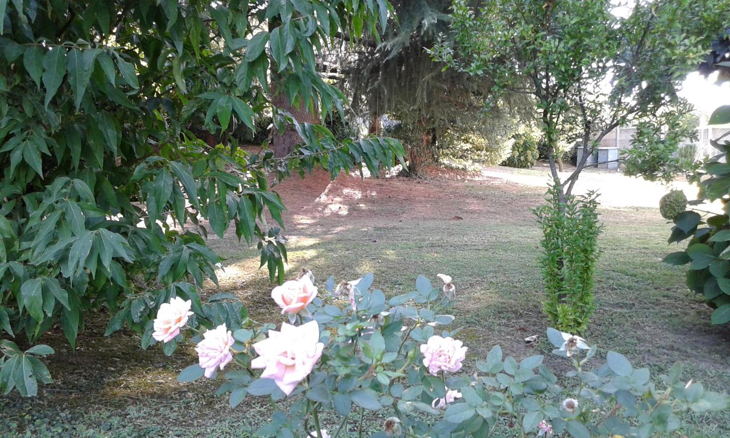 Photo 36