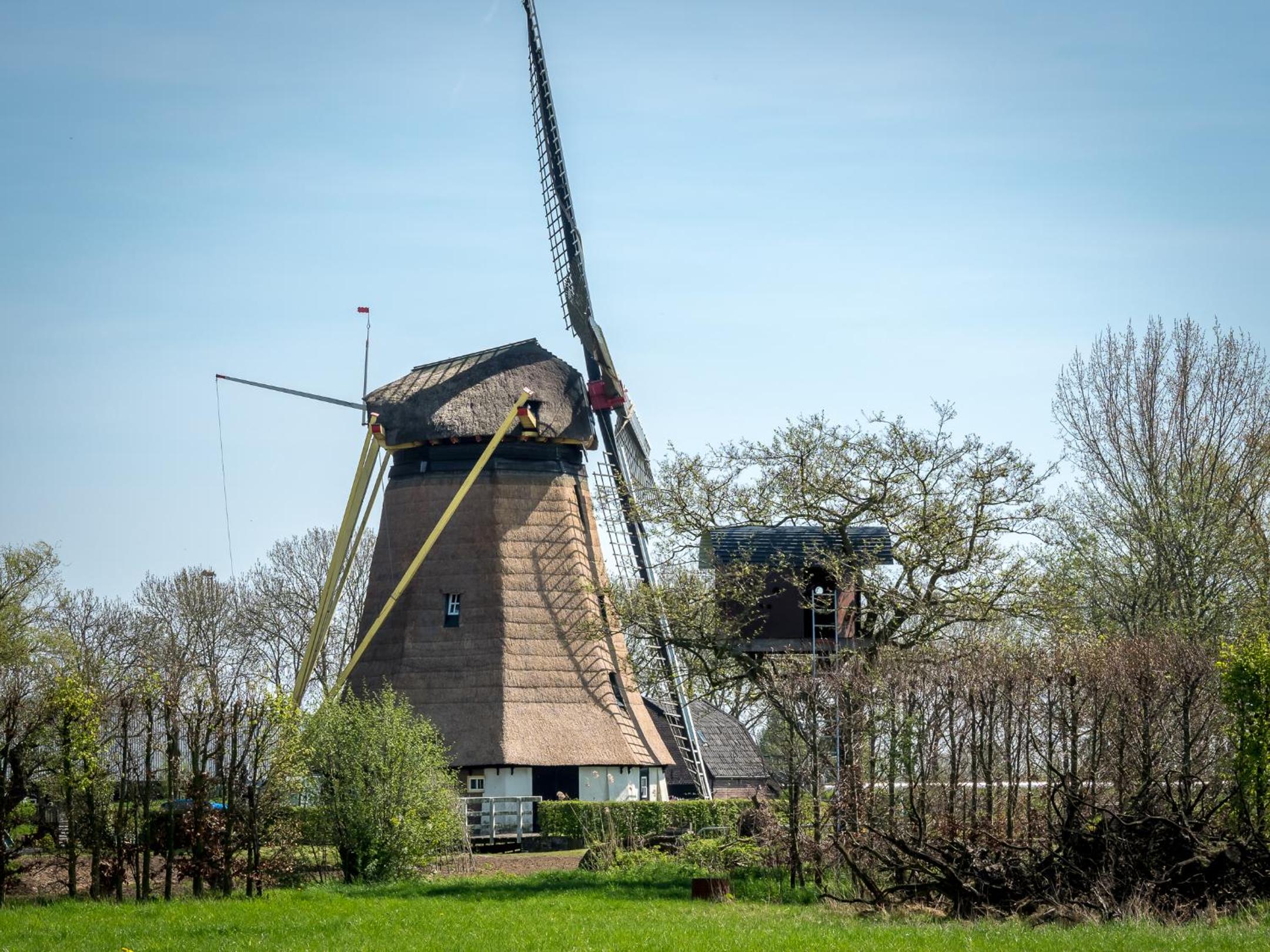 De Oosterling, photo 25