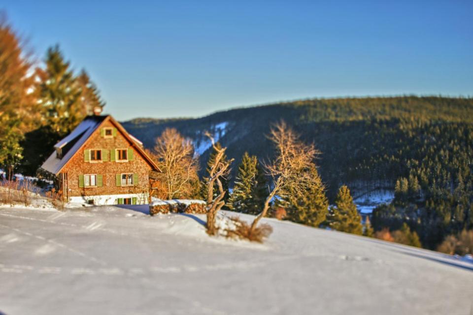 Ferienhaus 
