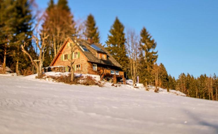 Ferienhaus 