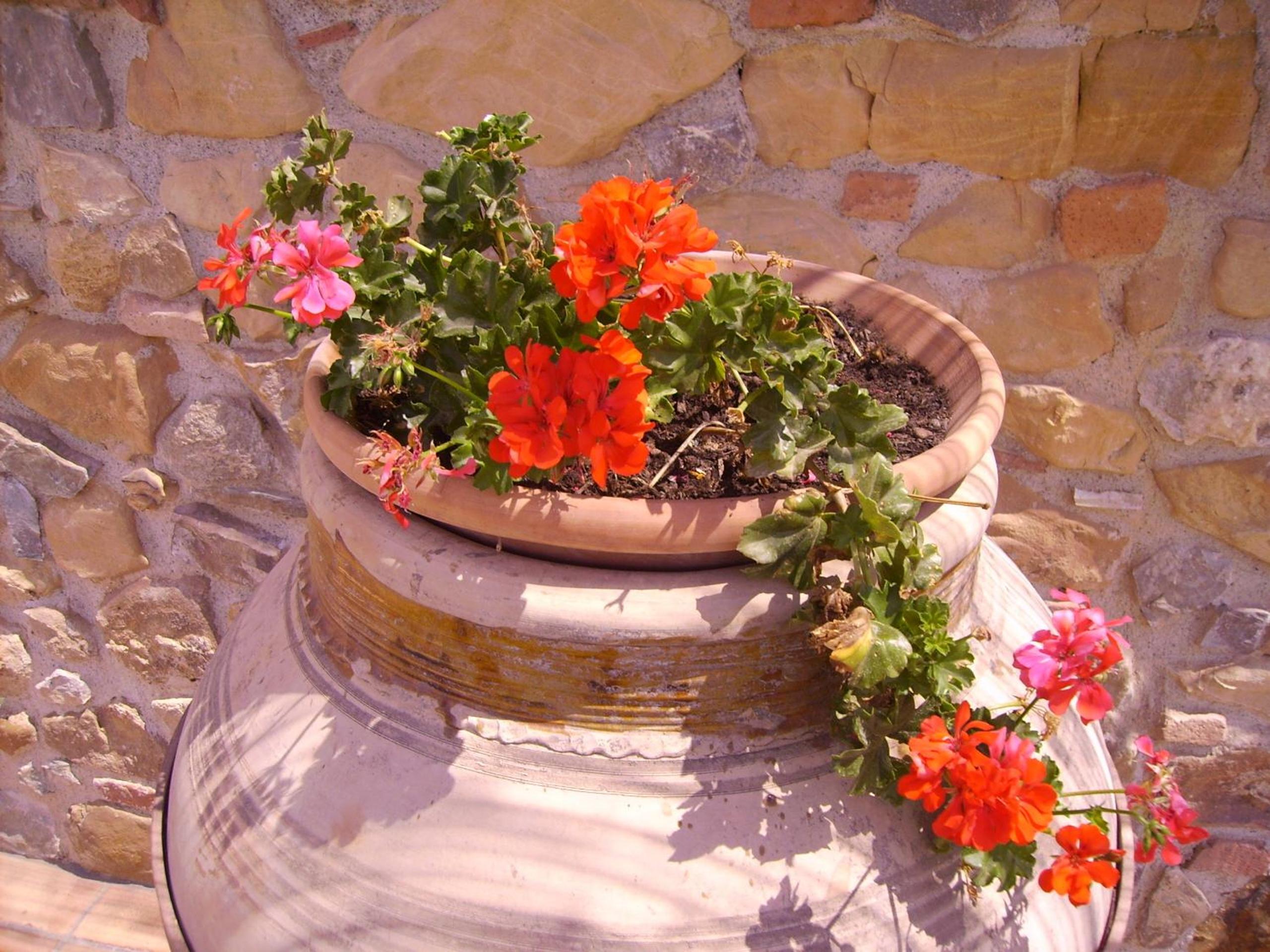 Terre Di Himera