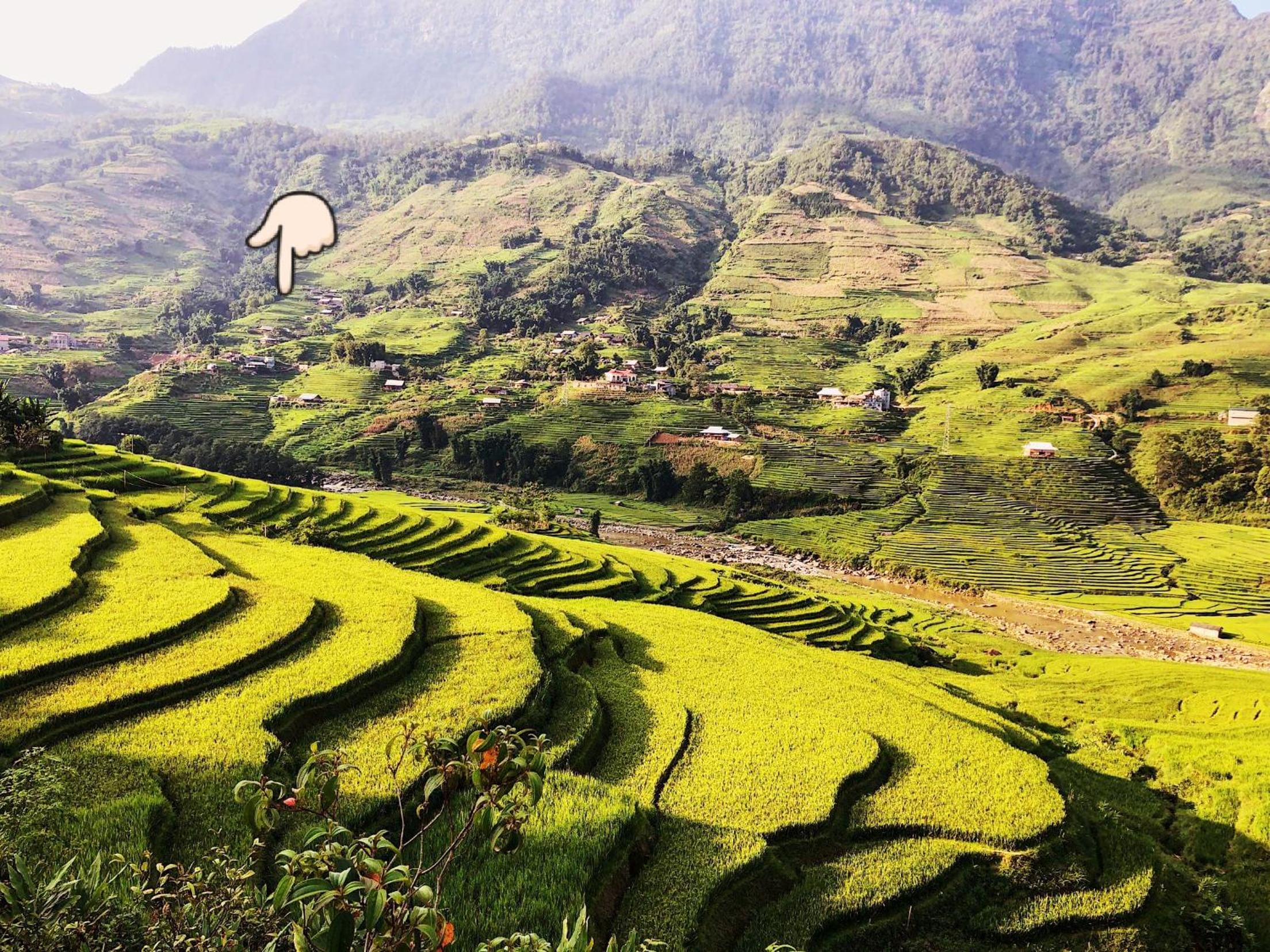 Surelee Homestay & Sapa Trekking Tours by Local Path