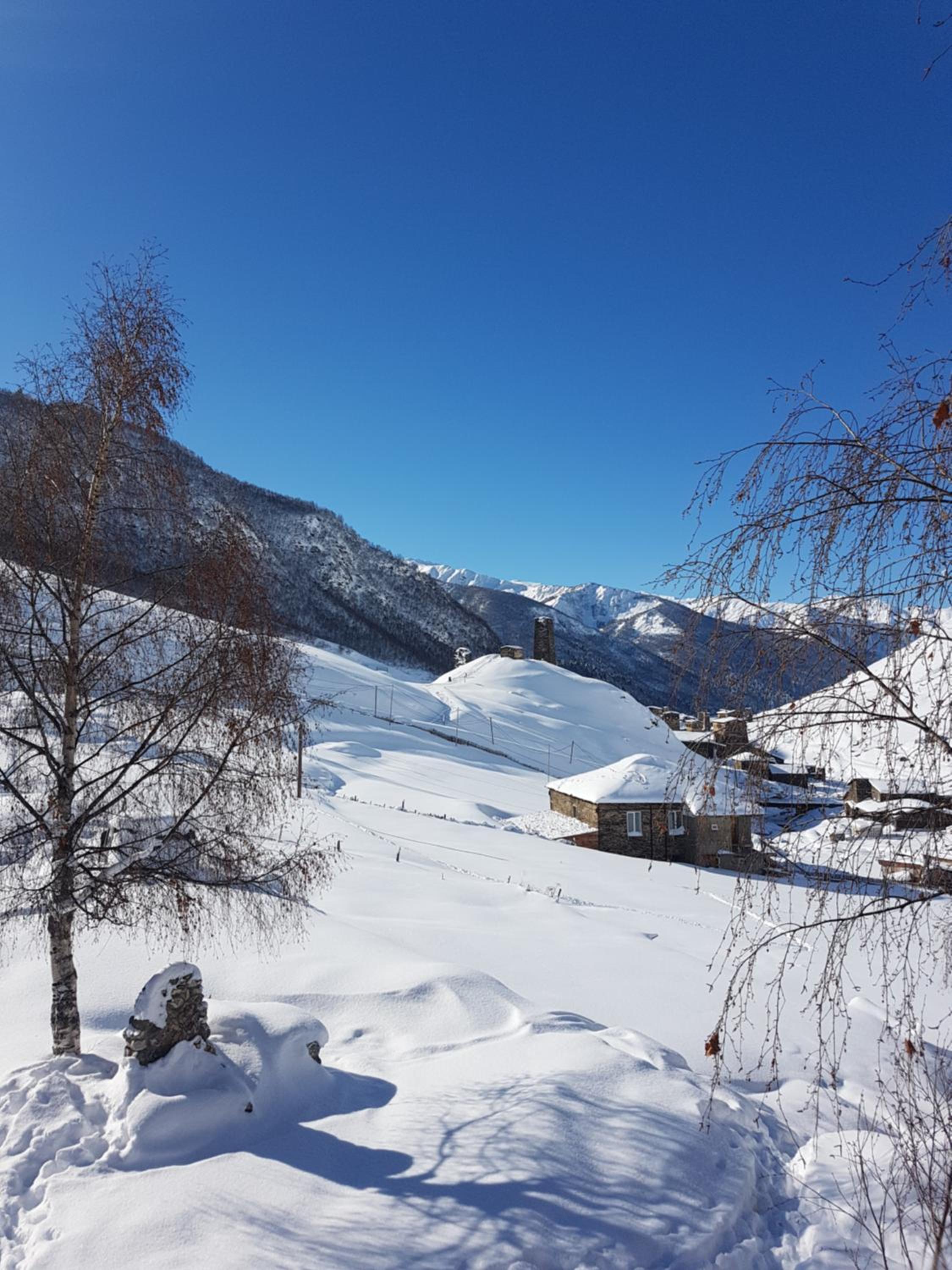 Guesthouse Ushguli Maspindzeli