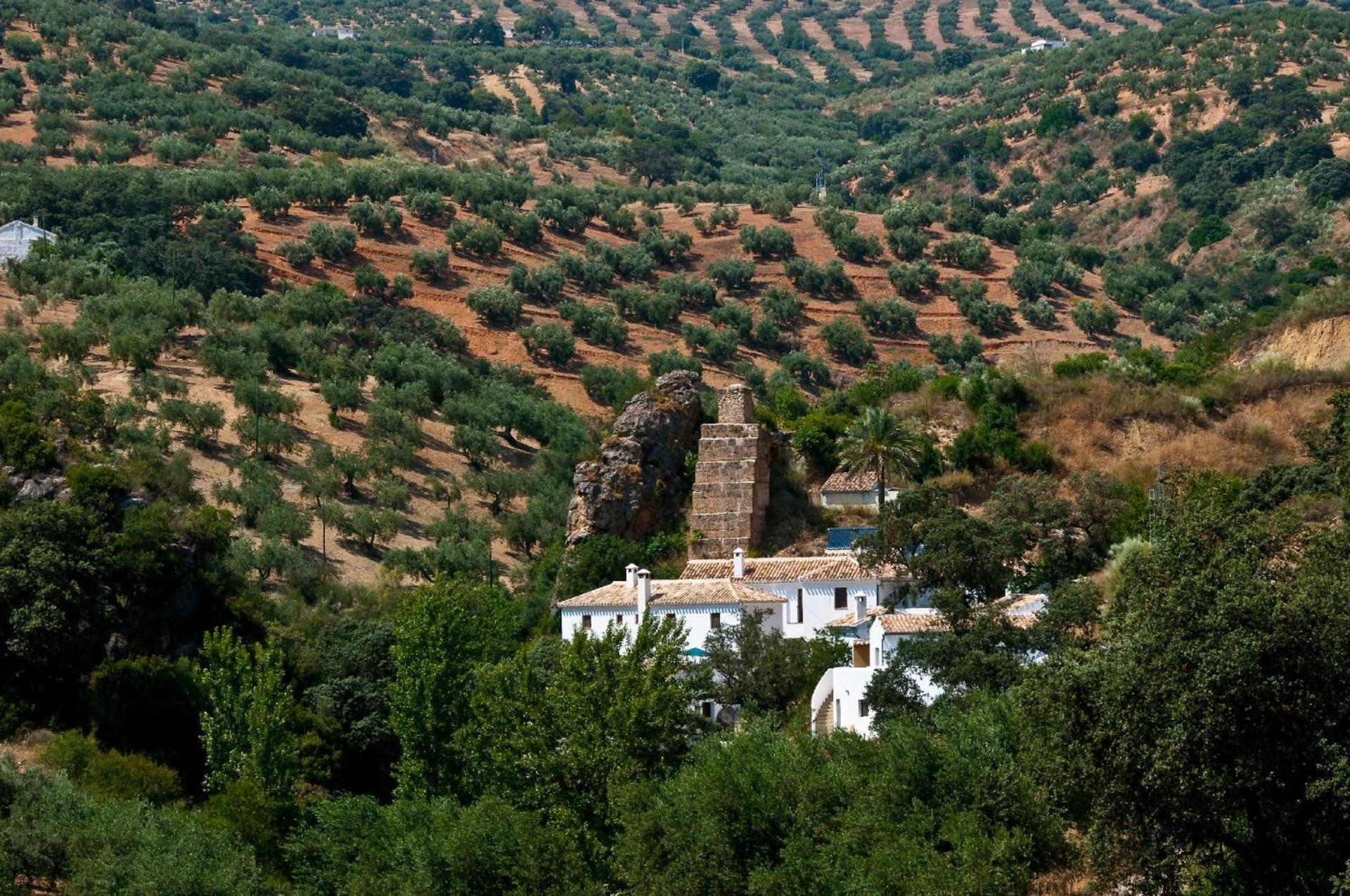 La Panadería at Molino la Ratonera