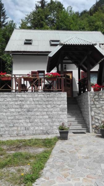 Apartment Zorc