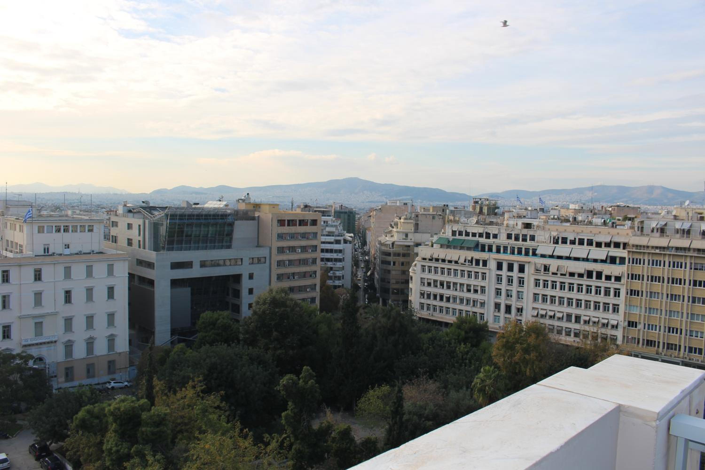 roof