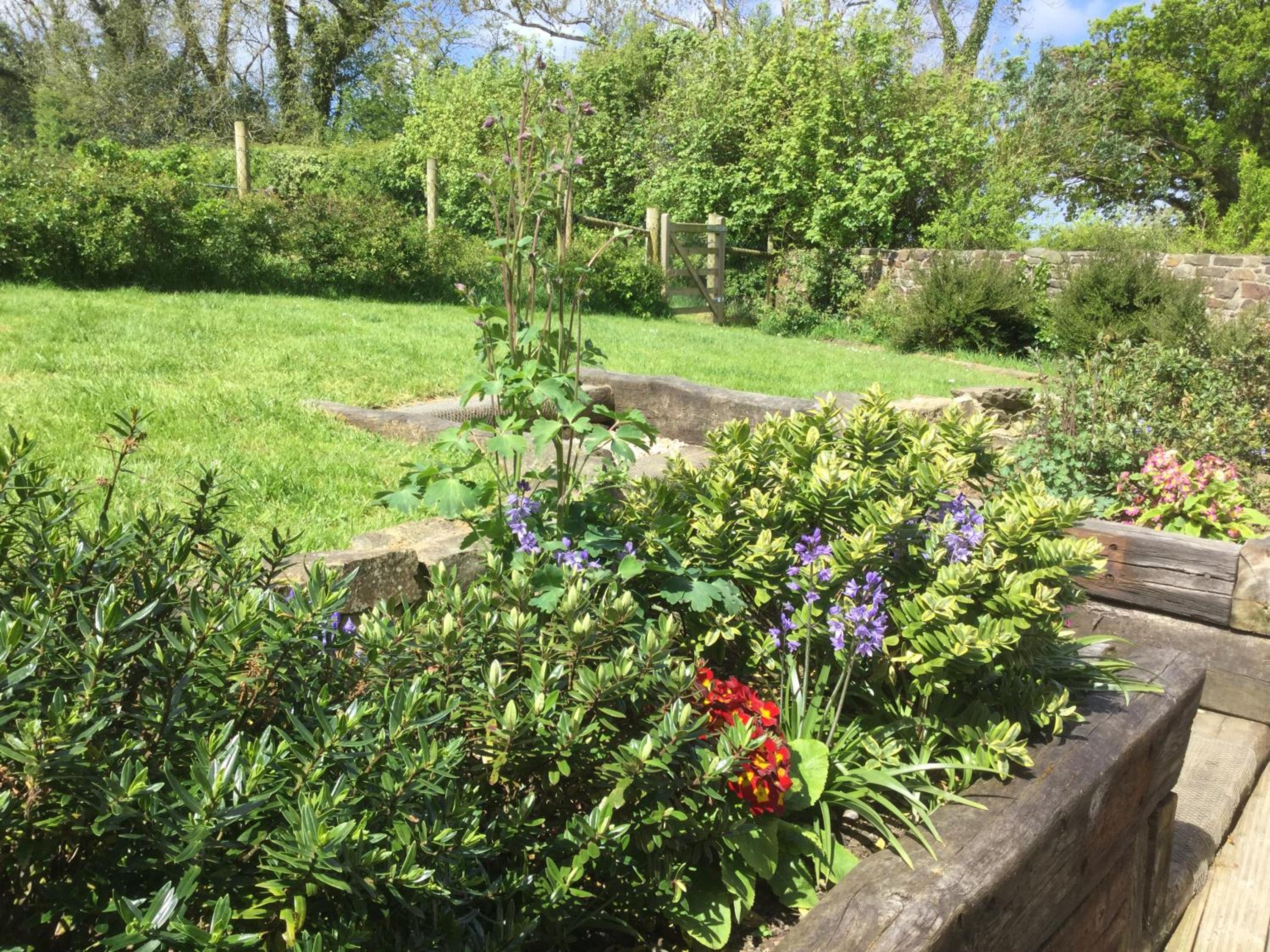 Photo 15