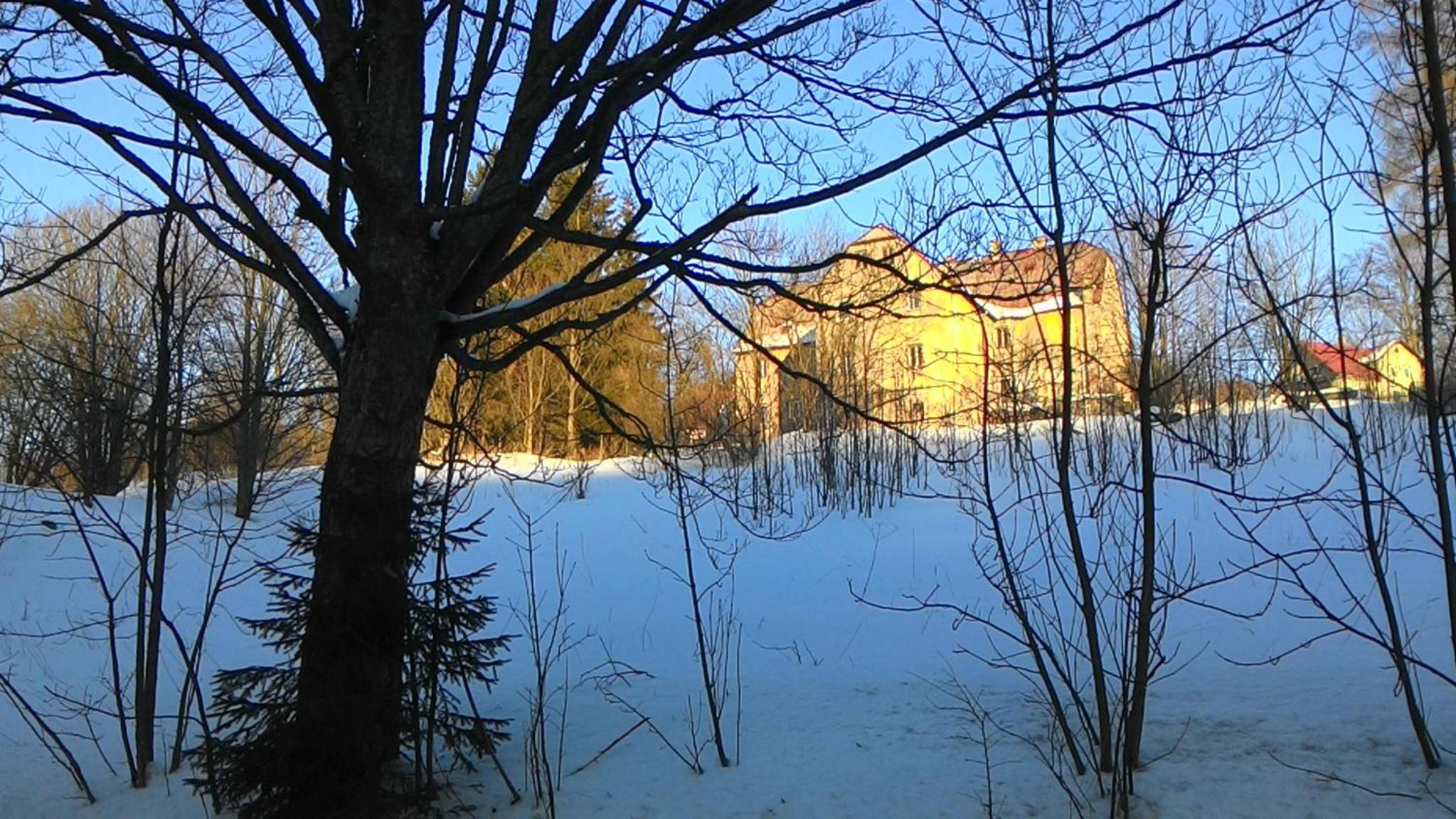Photo 8
