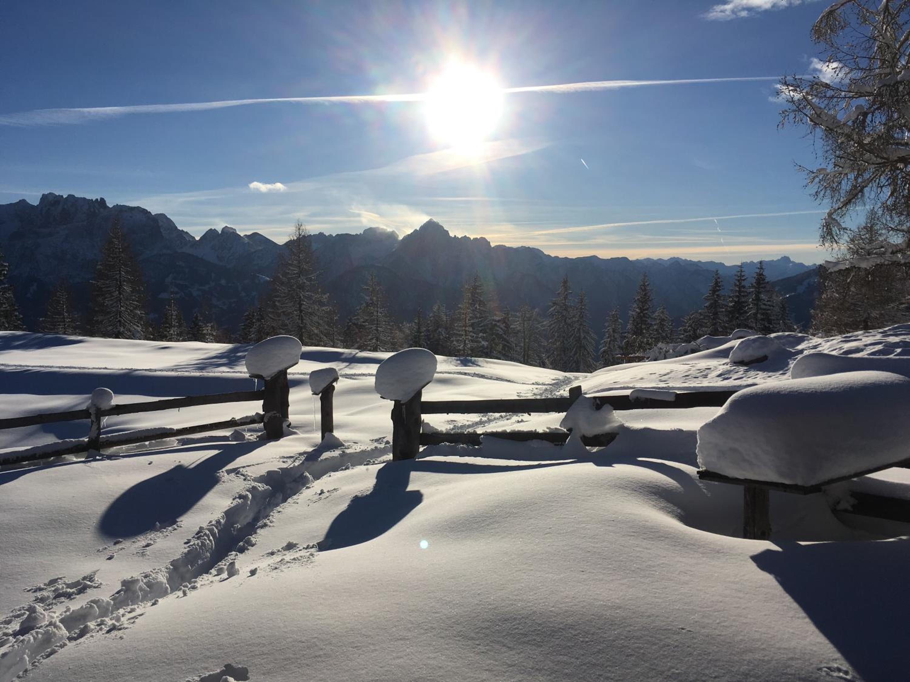 Frühstückspension Alpenrose Bed & Breakfast