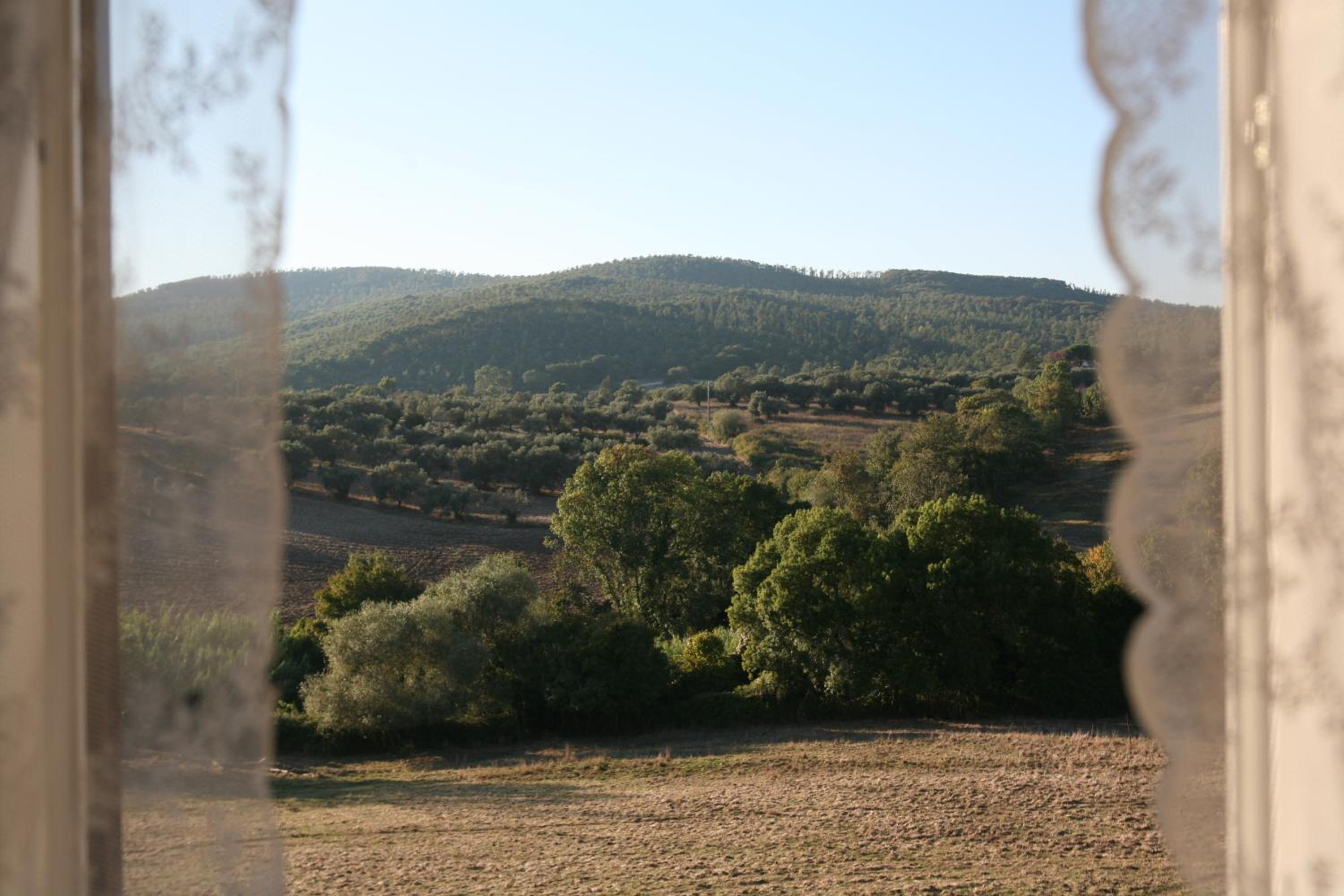 Agrihouse view 5