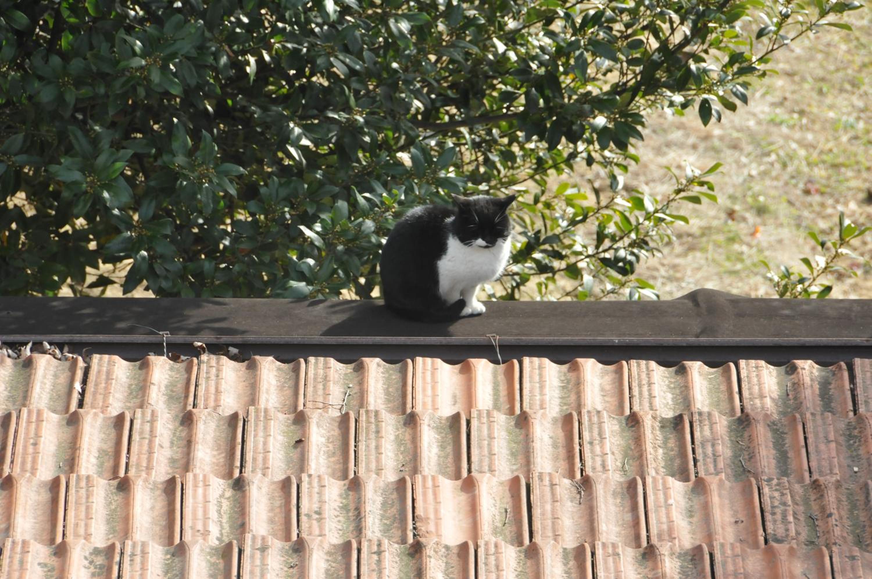 Agriturismo Marco