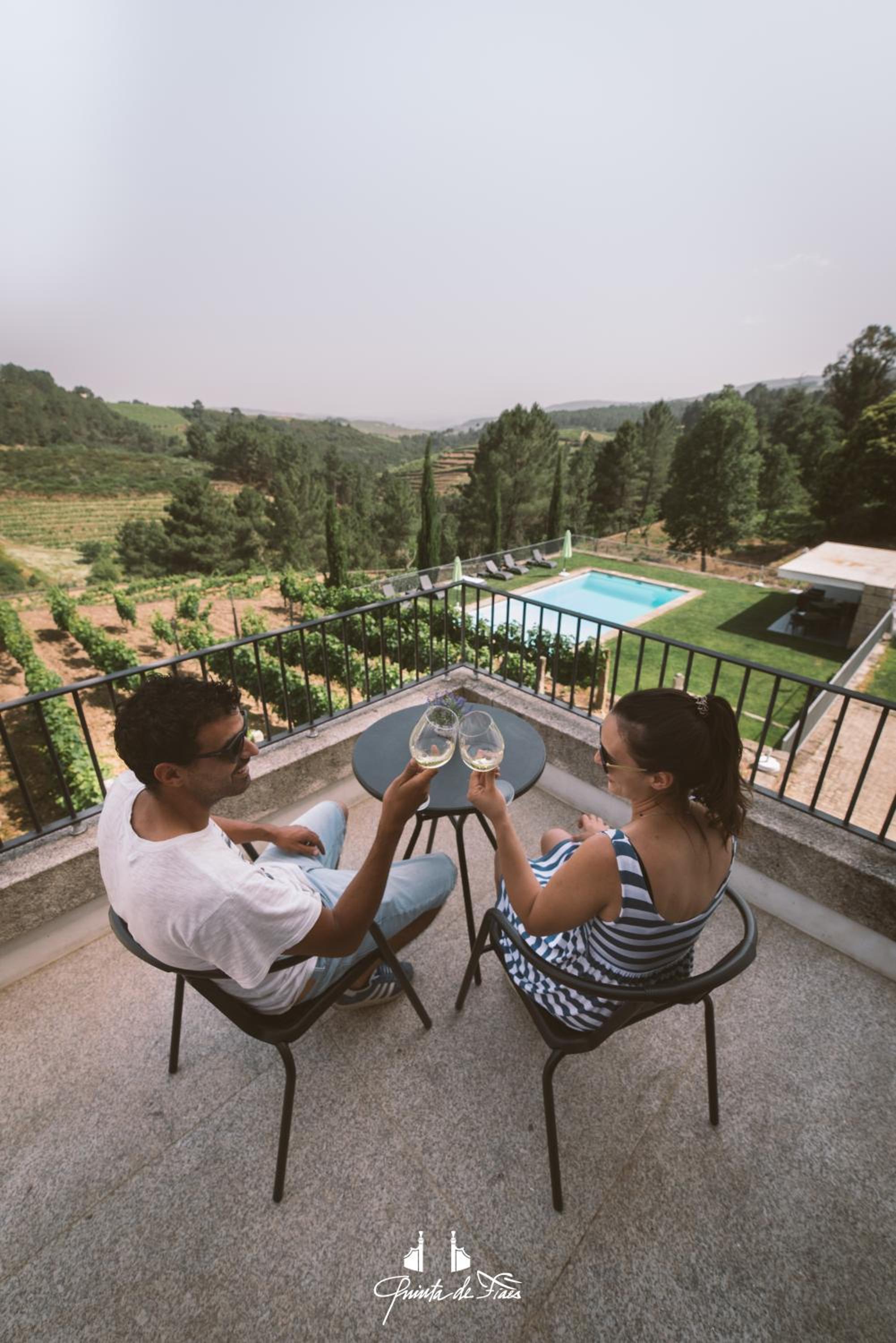 Quinta de Fiães view 5