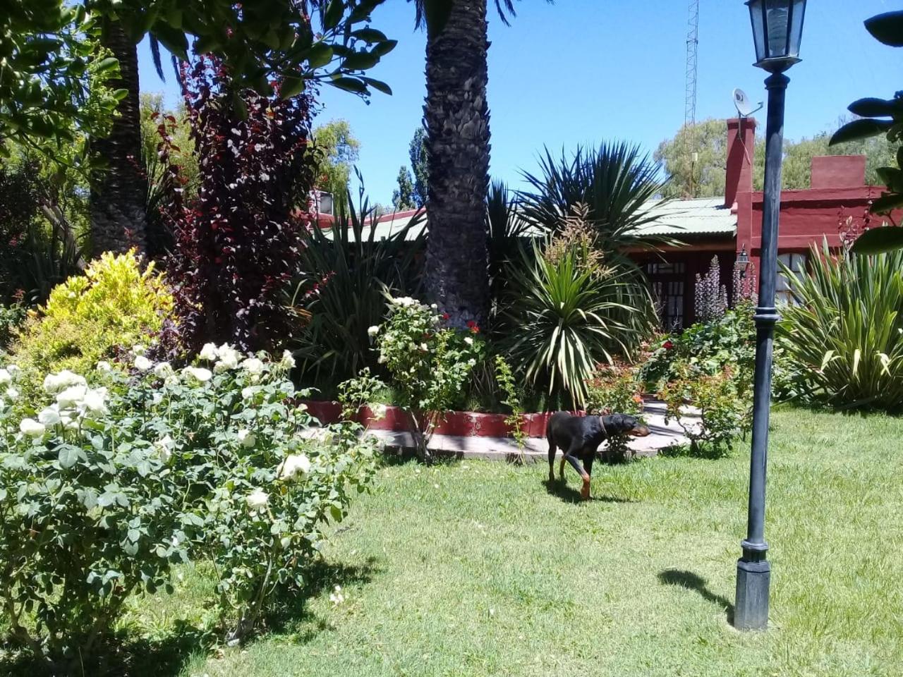 El Alto de las Paredes