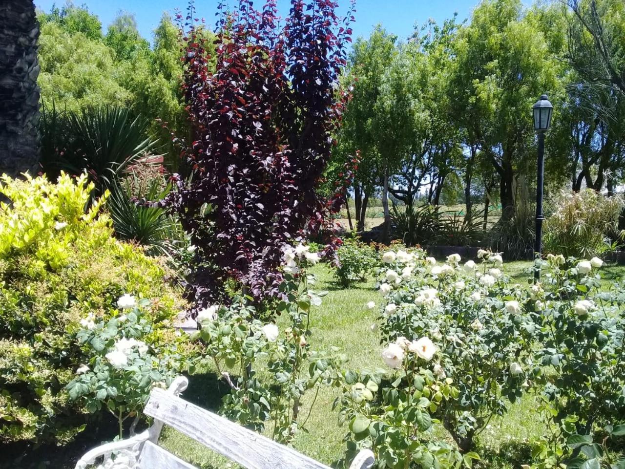 El Alto de las Paredes