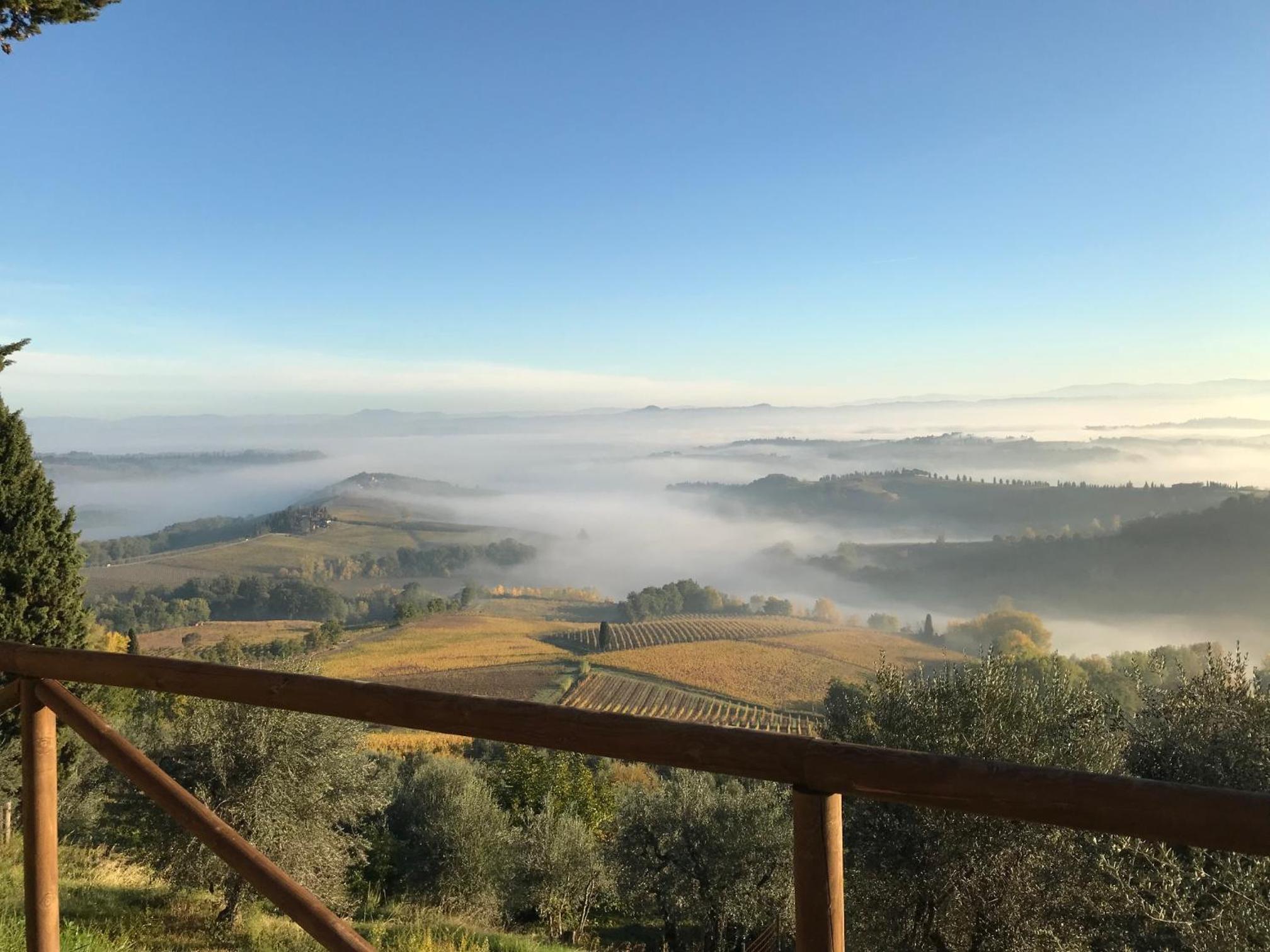 Fattoria Di Pancole view 3