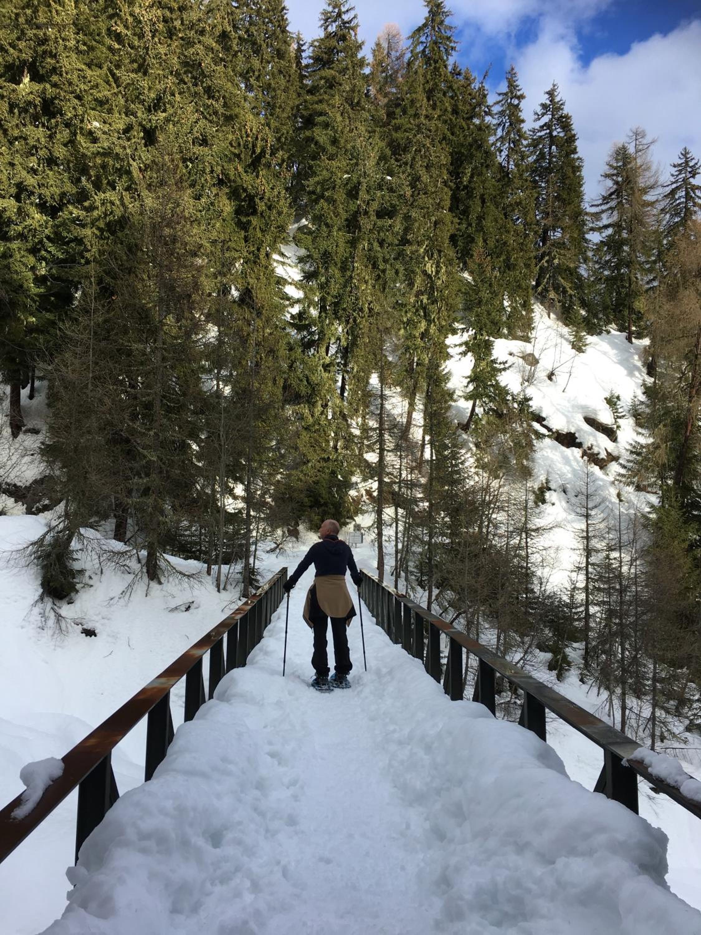 Chalet Ariane